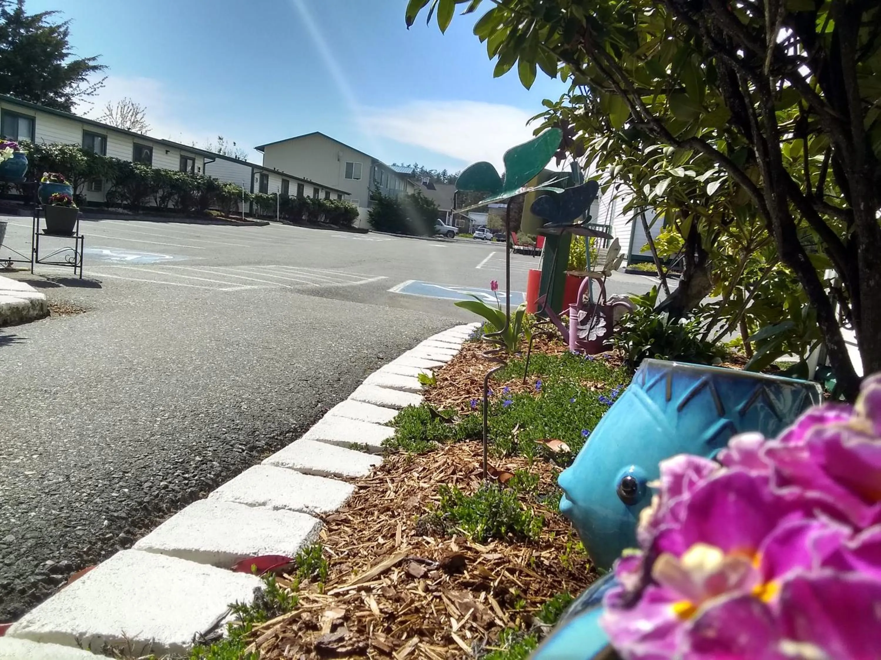 Property building in The Orca Inn