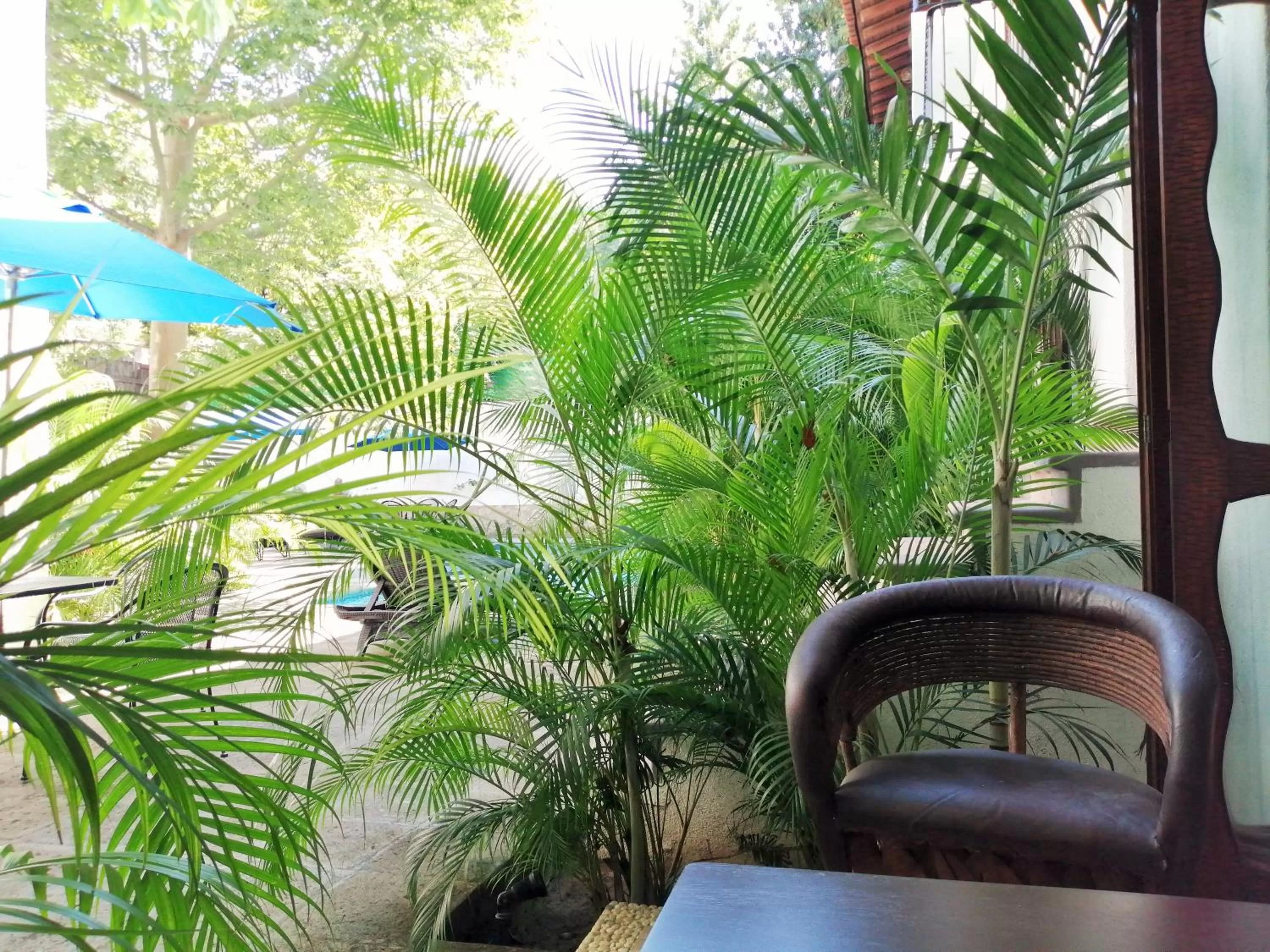 Balcony/Terrace in Ceiba Studios