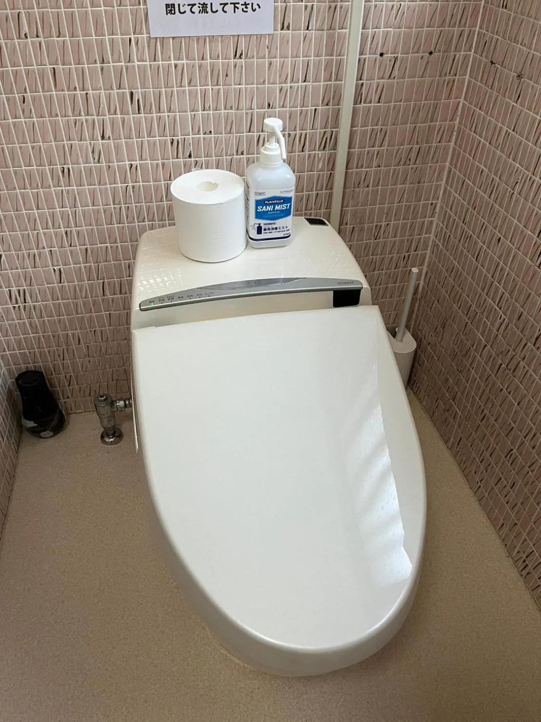 Toilet in Fuji-Hakone Guest House