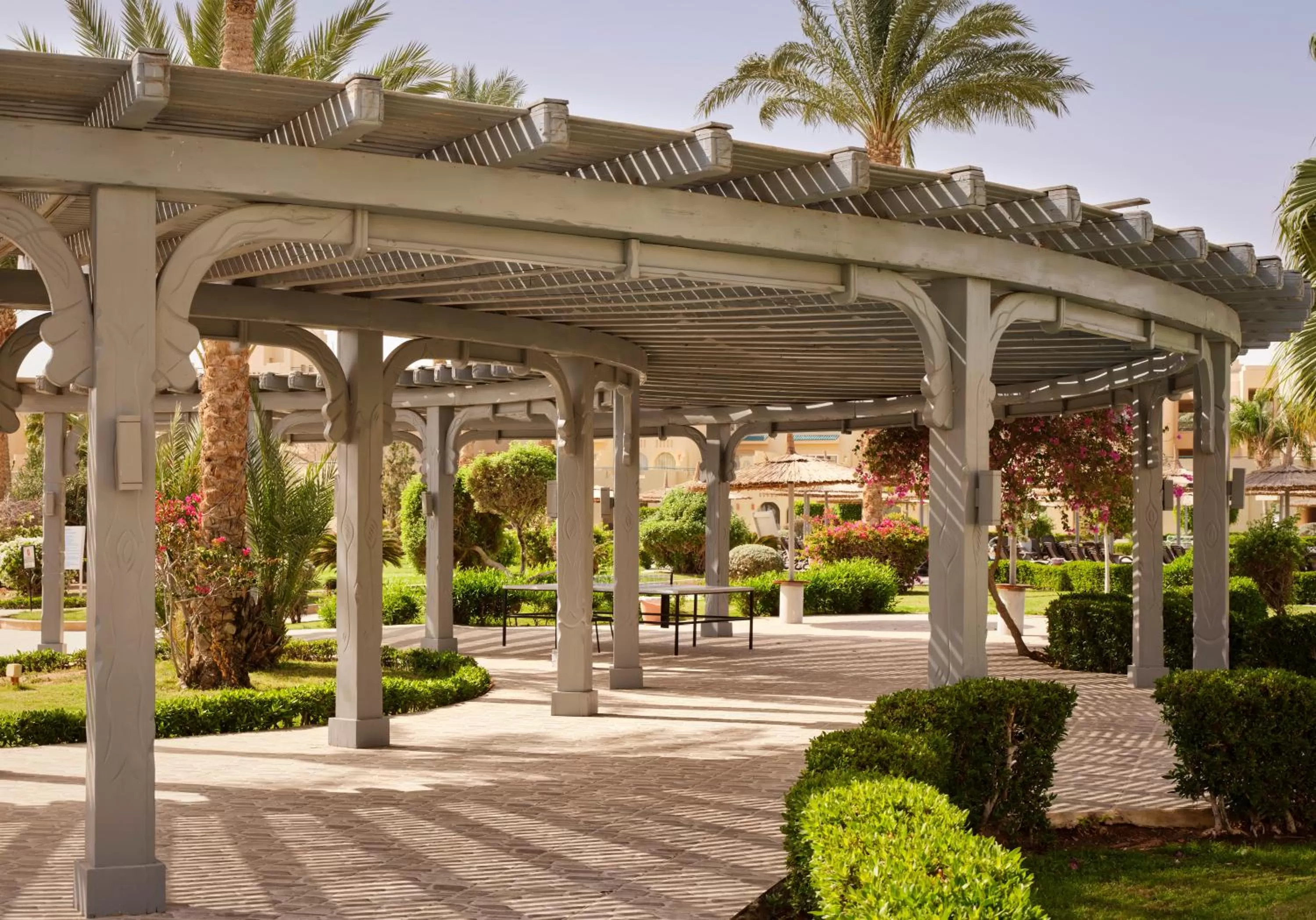 Activities in Coral Sea Waterworld Sharm El Sheikh