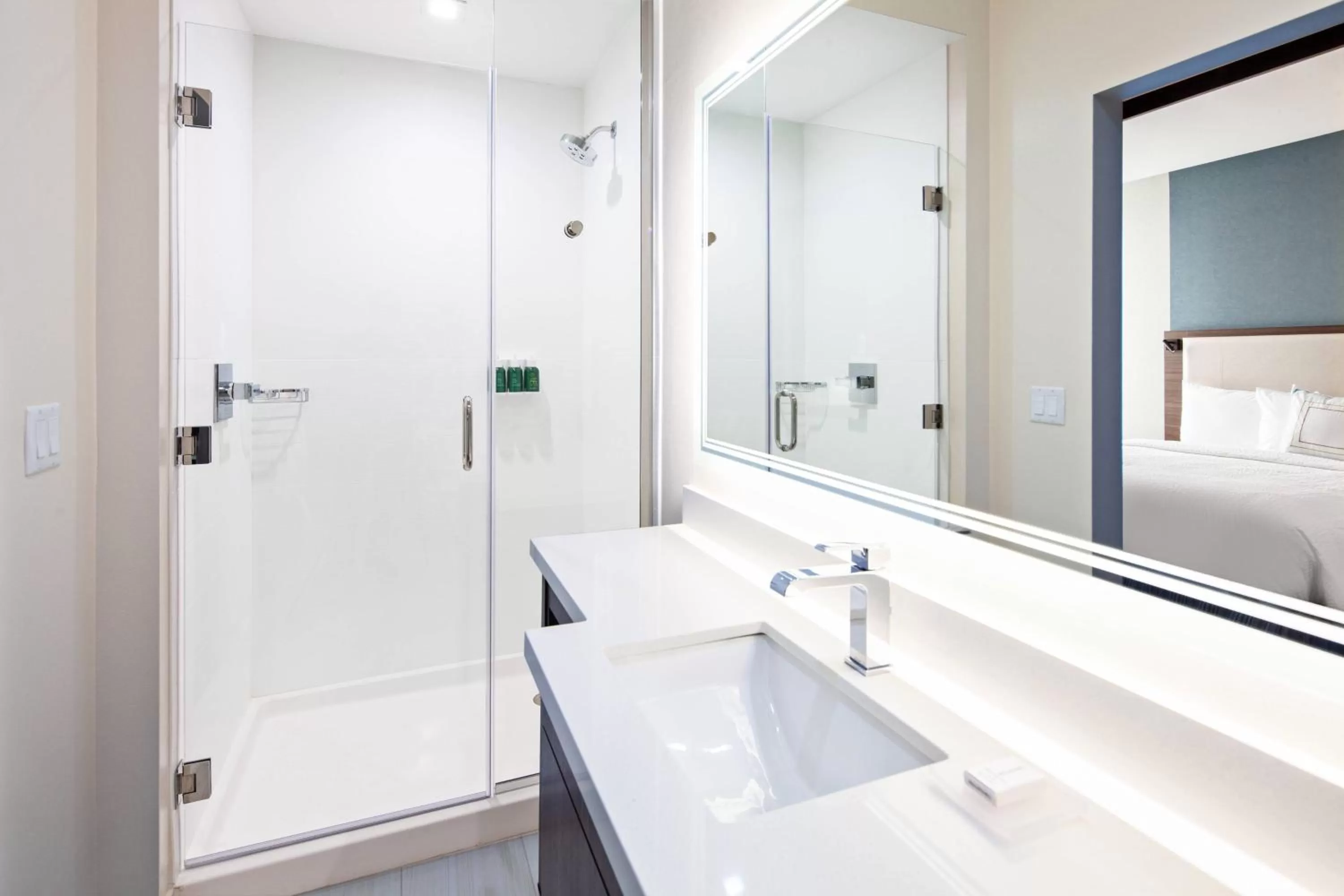 Bathroom in SpringHill Suites by Marriott Escondido Downtown