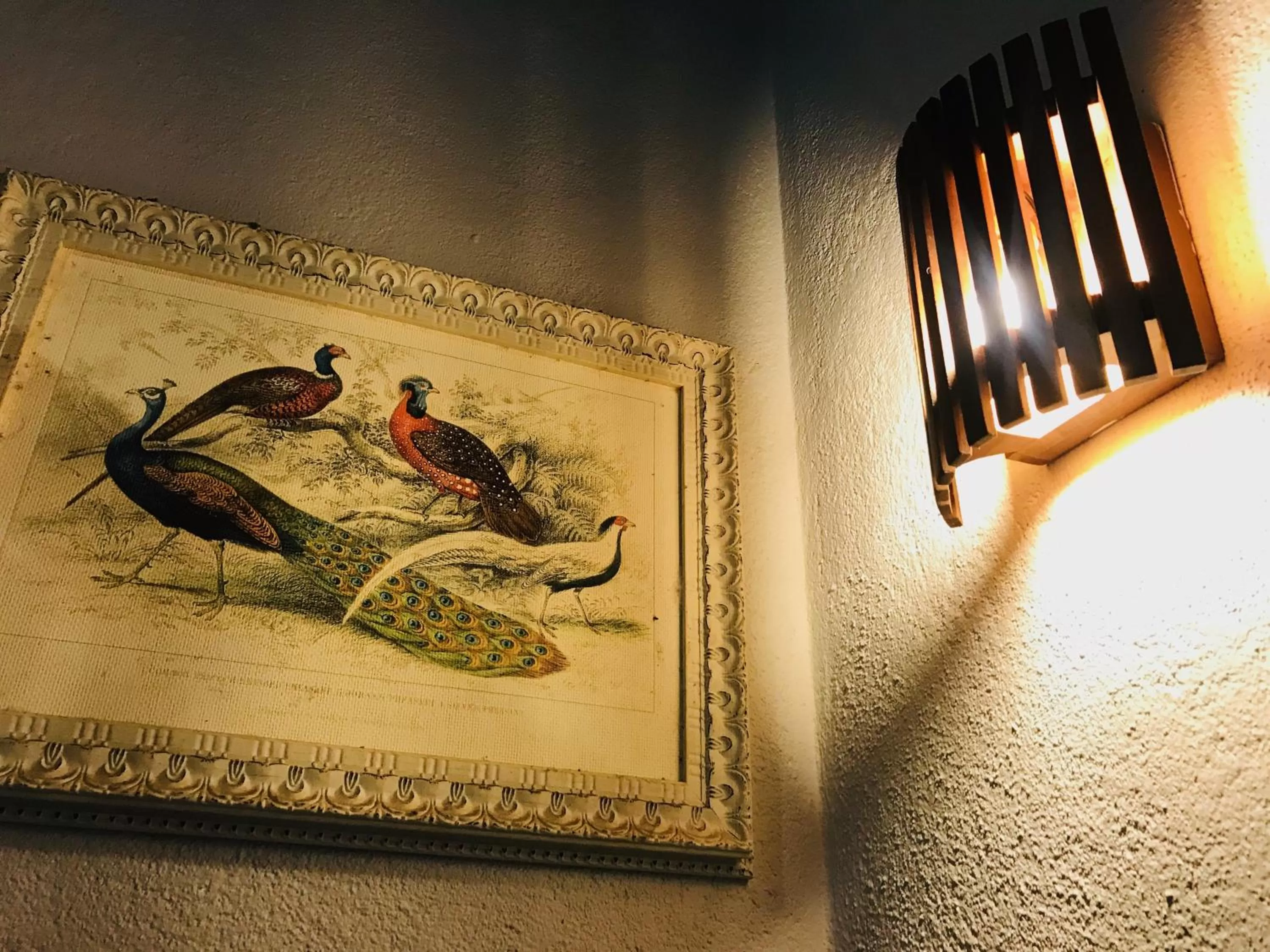 Communal lounge/ TV room in The Green Edge