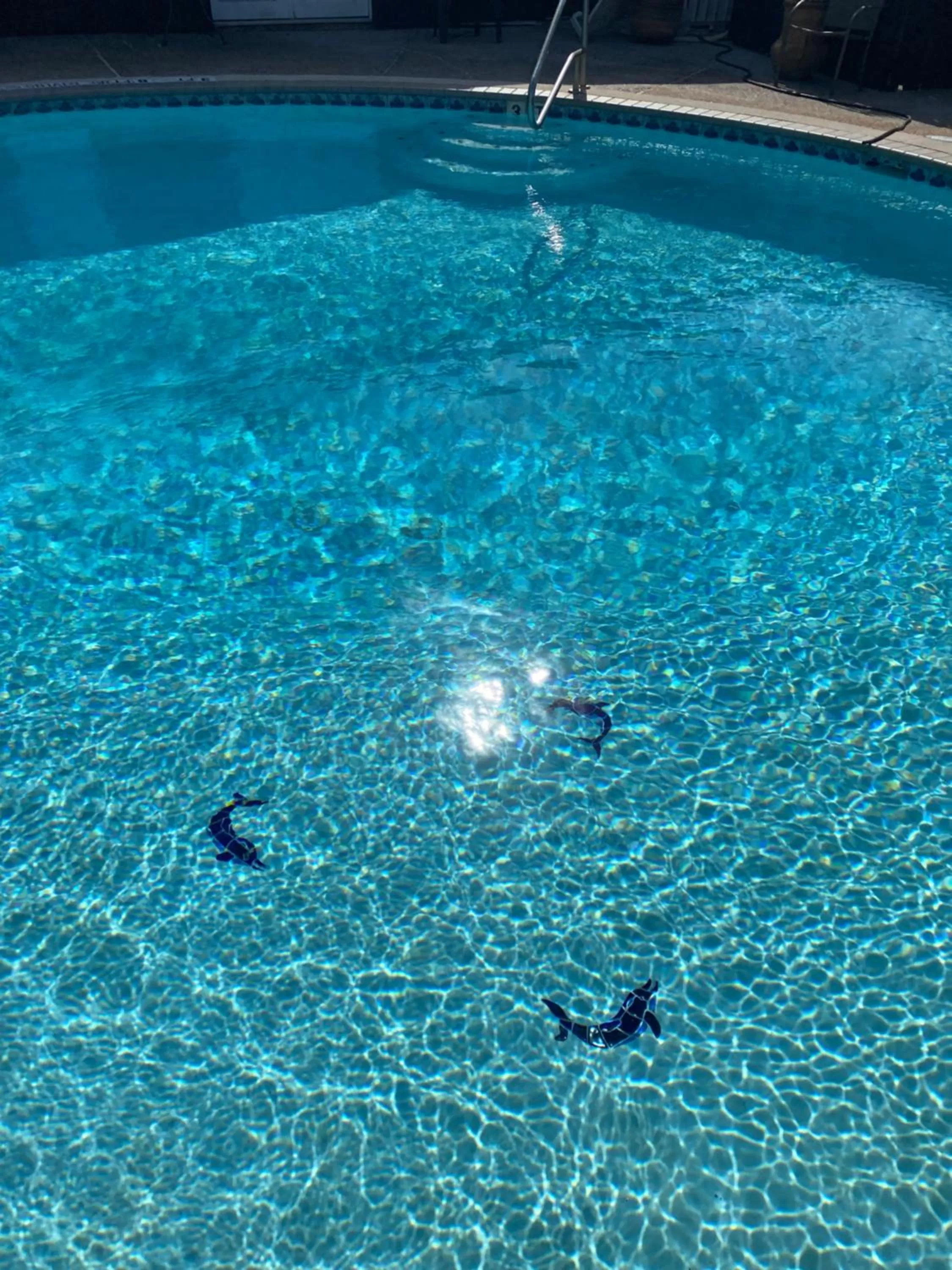 Property building, Swimming Pool in Belles Sea Inn