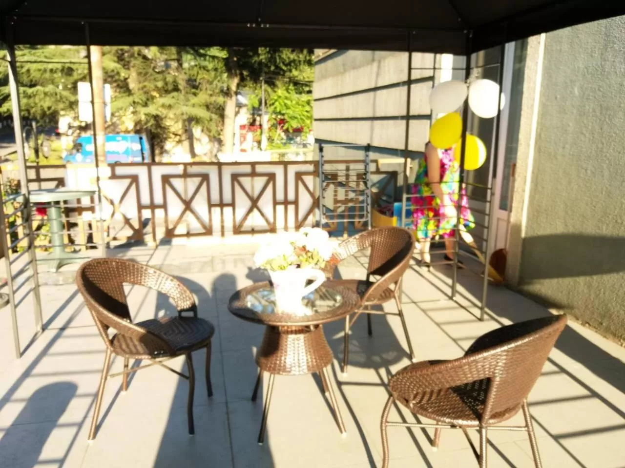 Balcony/Terrace in Hotel Newland