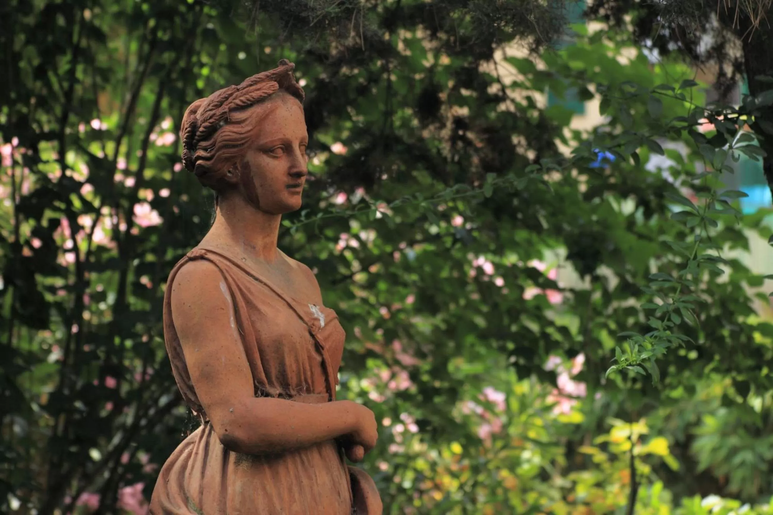 Garden in Hotel Villa Liana