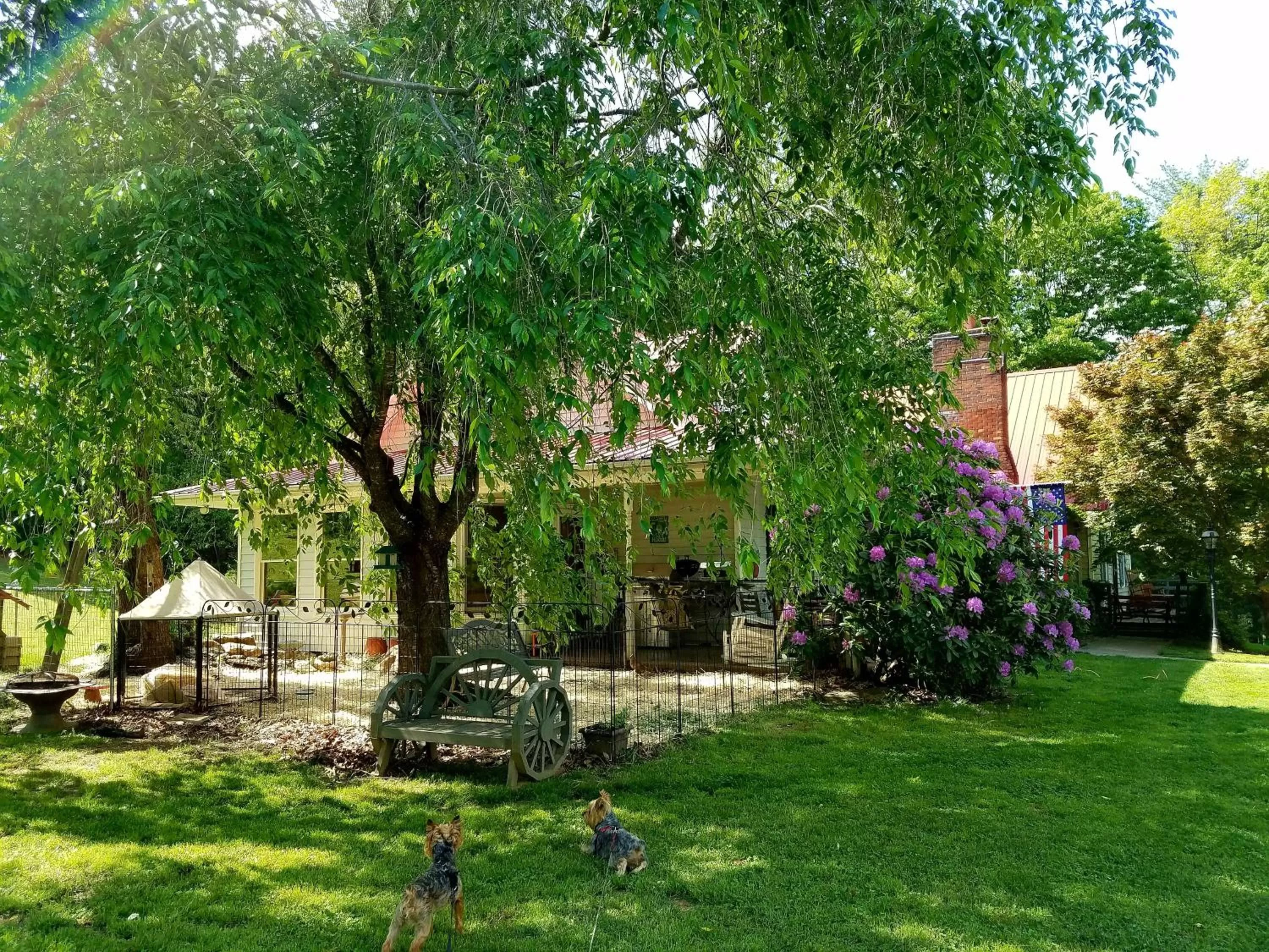 Blue Ridge Manor Bed and Breakfast