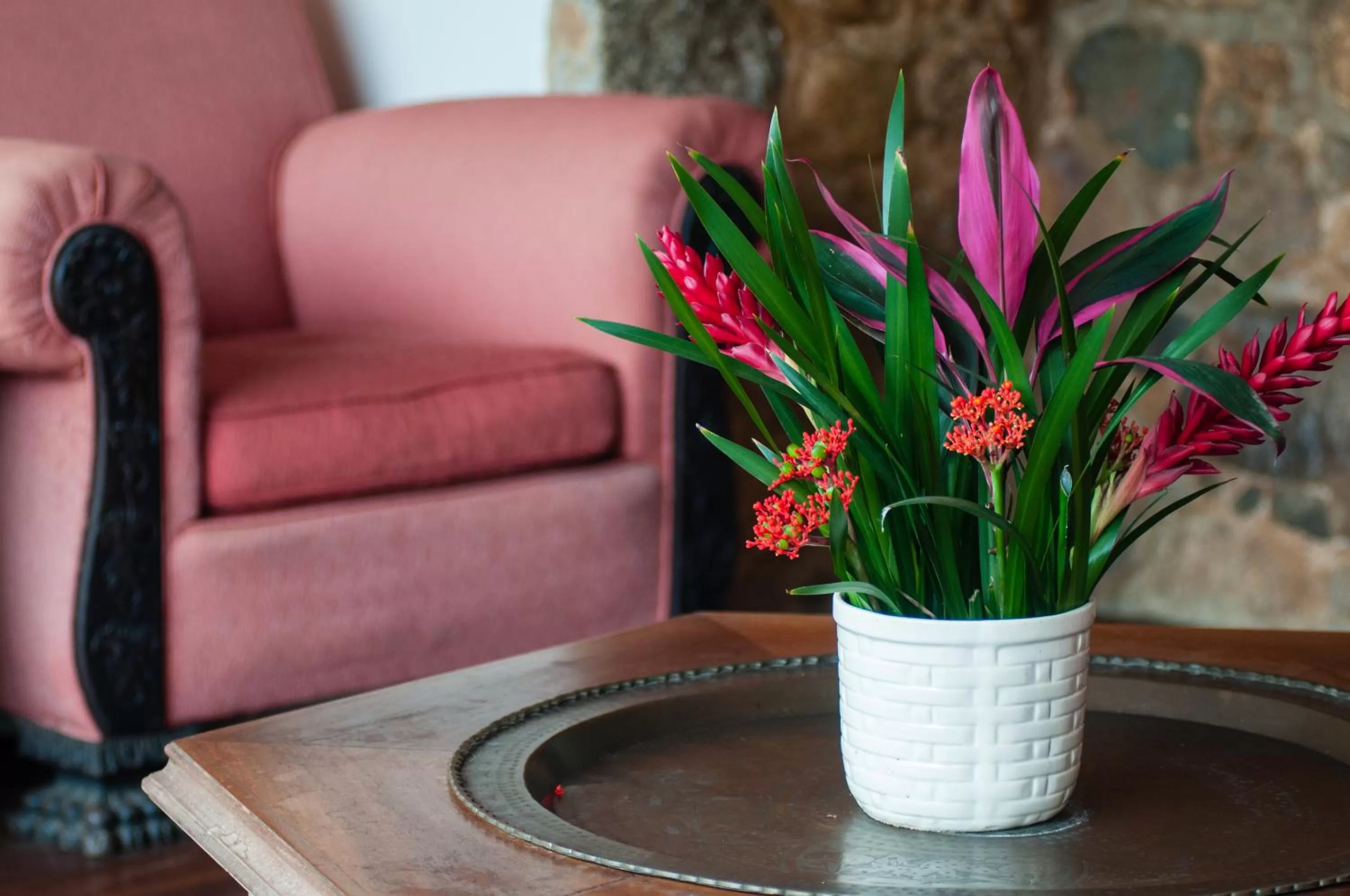 Garden, Seating Area in Pousada Solar D Alcina