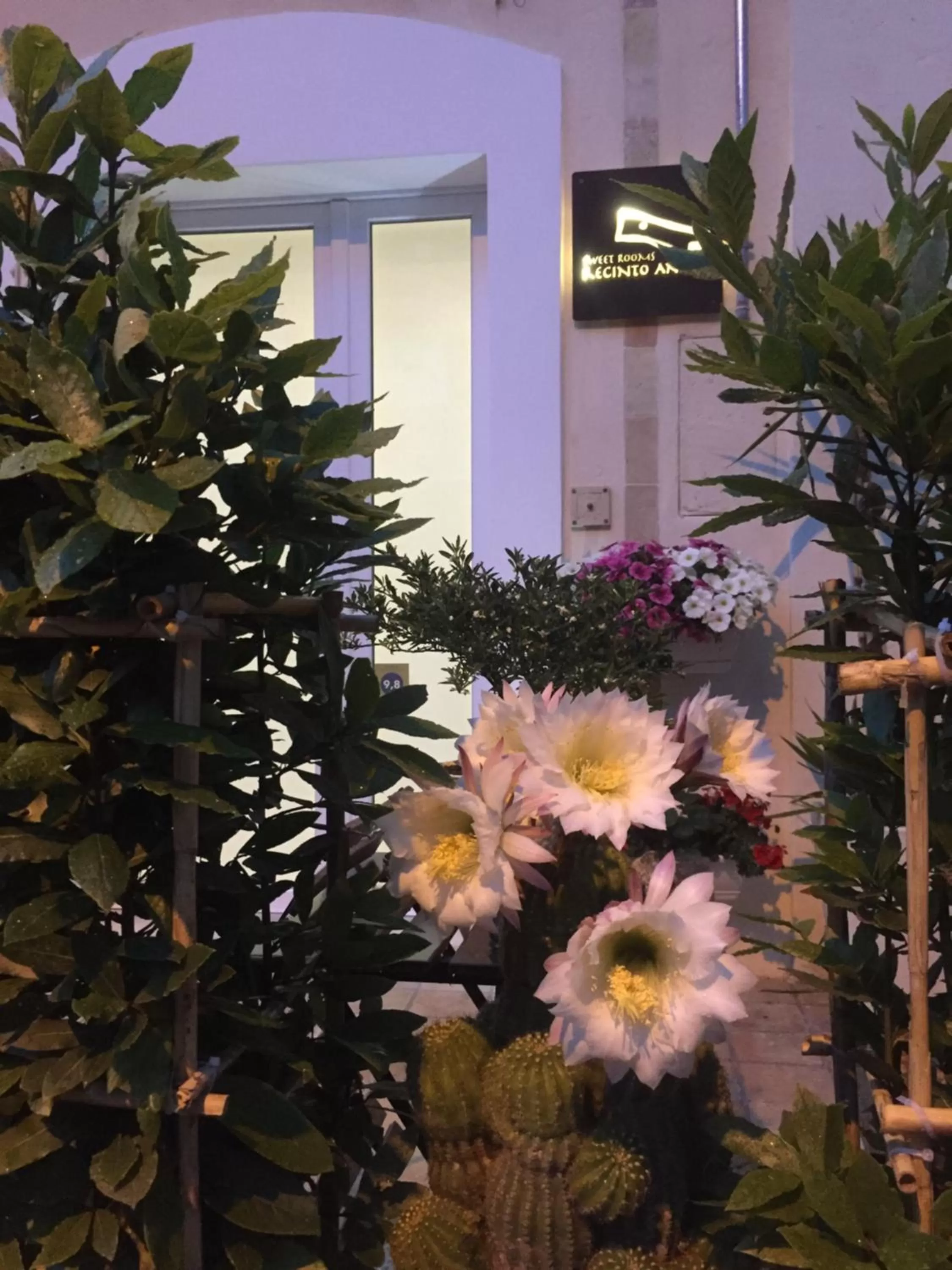 Property building in Recinto antico Sweet Rooms