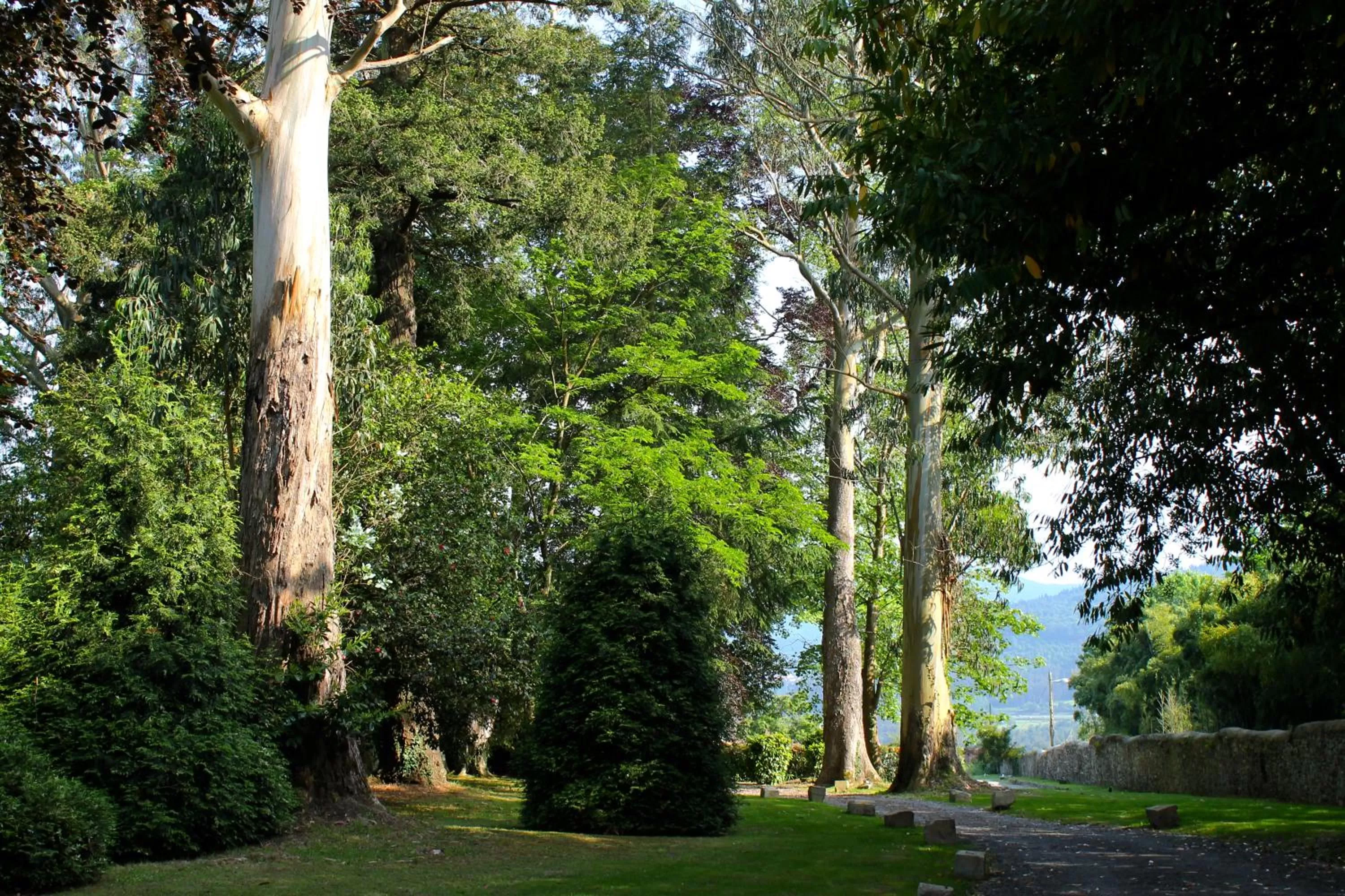 Spring in HOTEL BOUTIQUE VILLA DEL MARQUÉS
