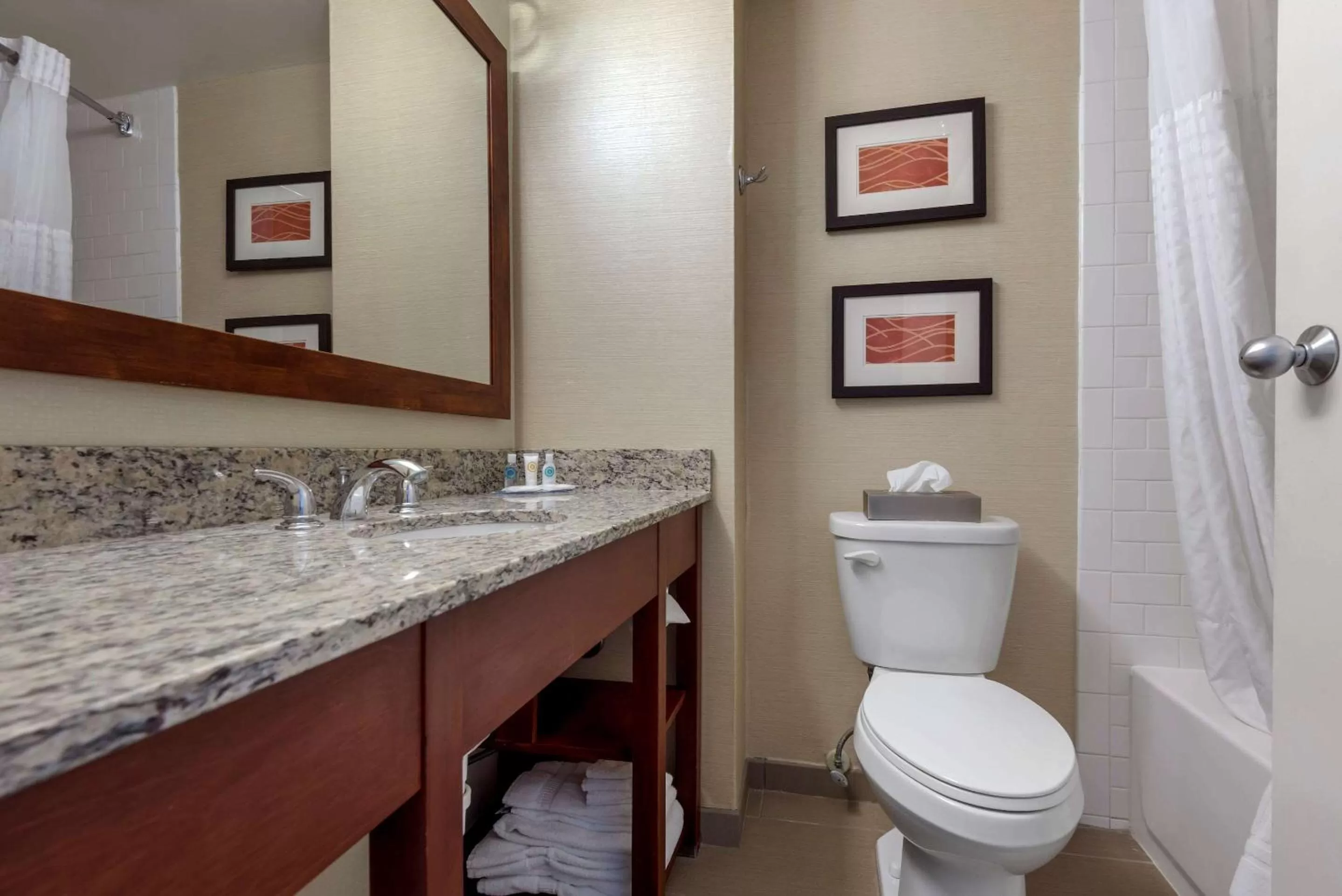 Toilet in Comfort Inn The Pointe