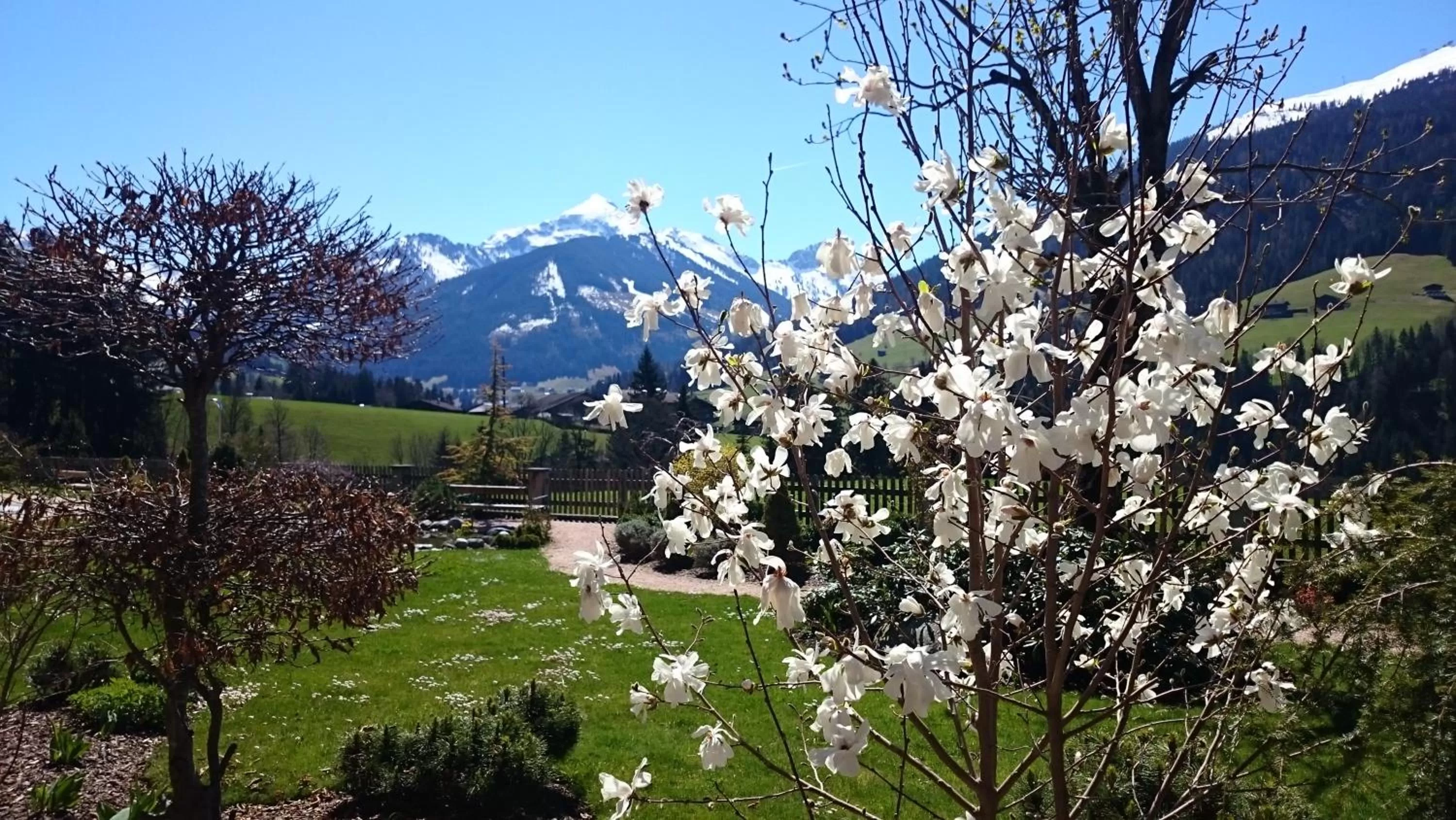 Spring, Garden in Natur & Spa Resort "Der Alpbacherhof" Superior