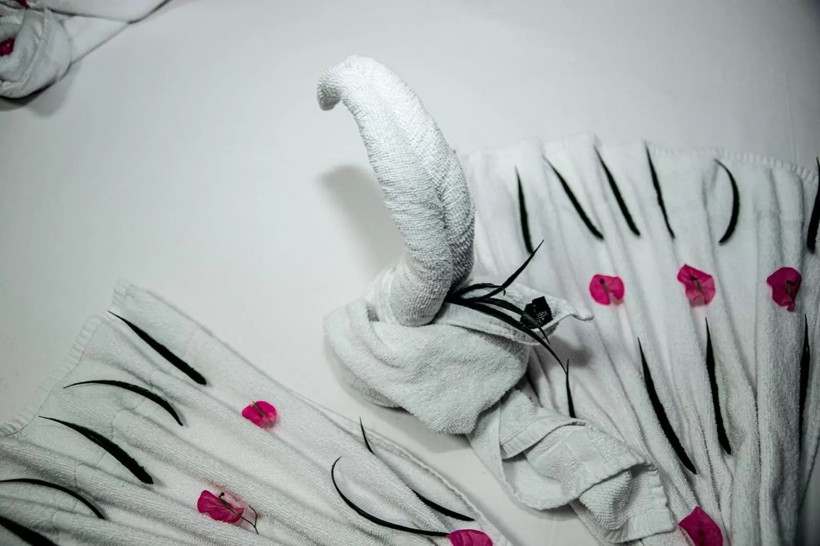 Decorative detail in Hotel Maman