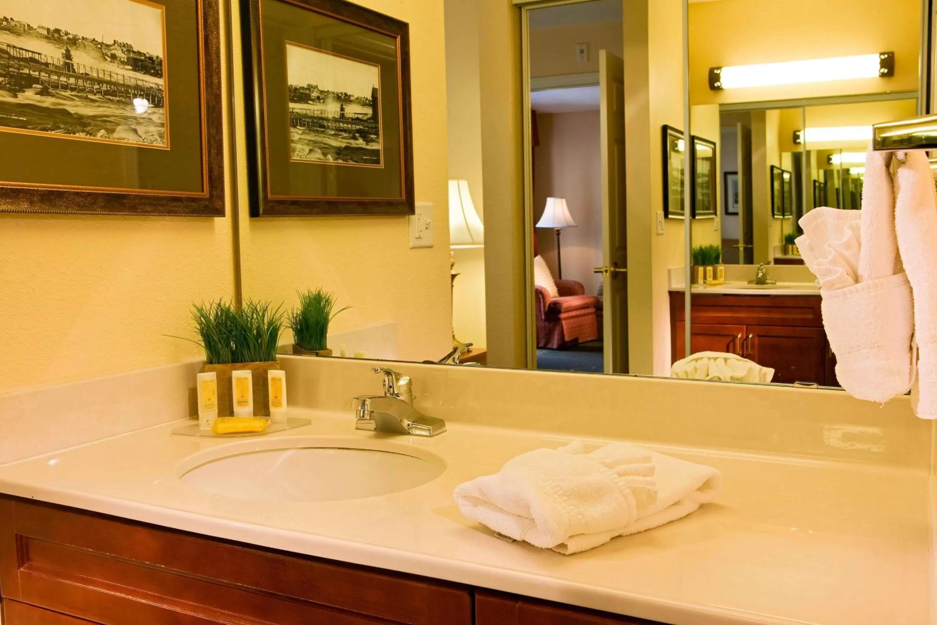 Bathroom in Residence Inn Minneapolis Eden Prairie