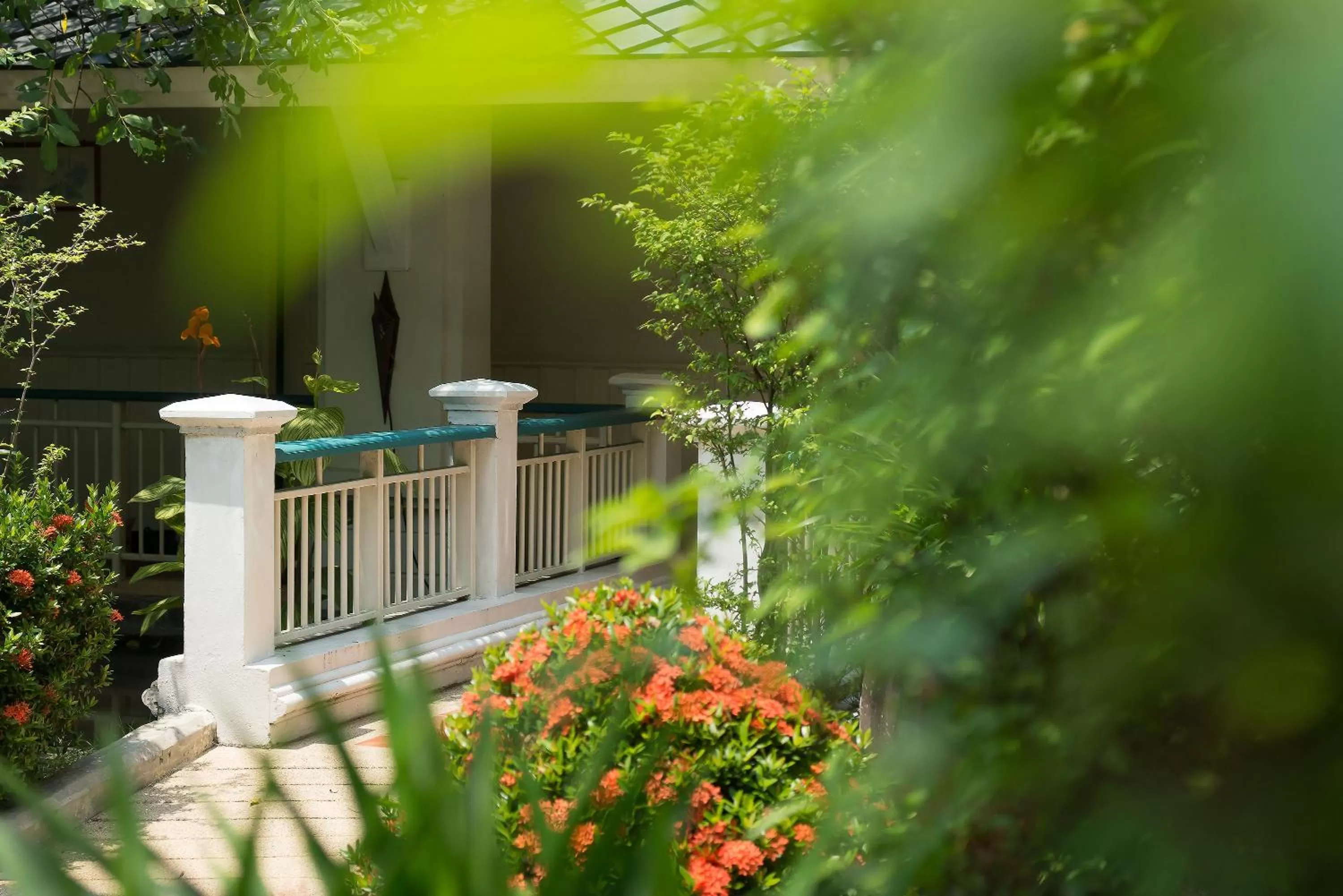 Garden in Kalanan Riverside Resort