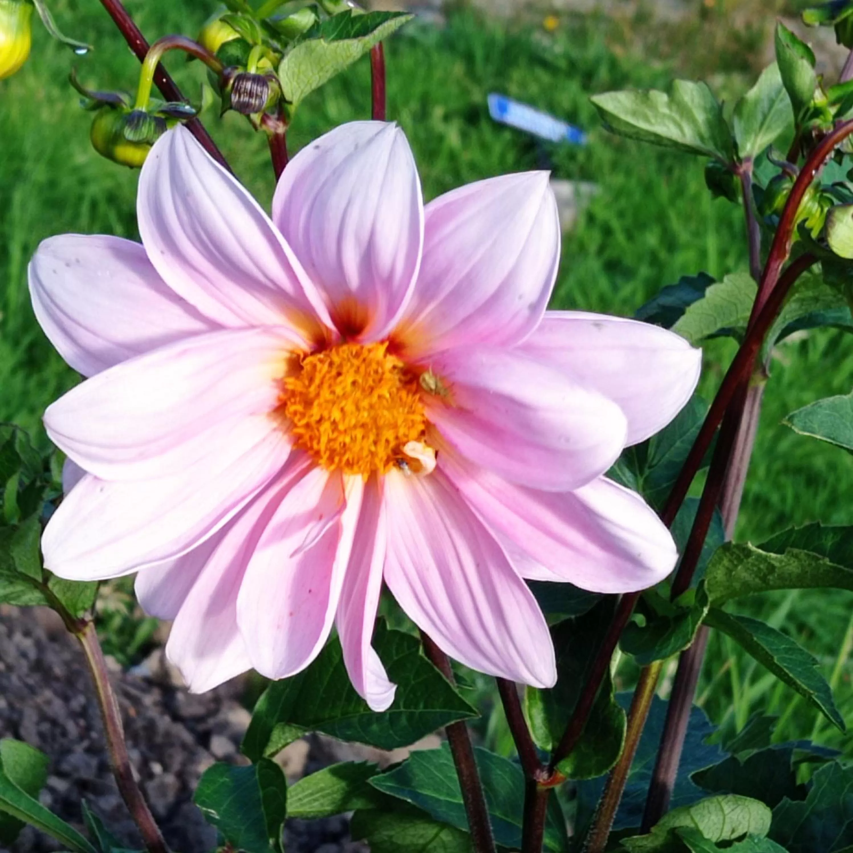 Hotel Refugio Pozo Azul