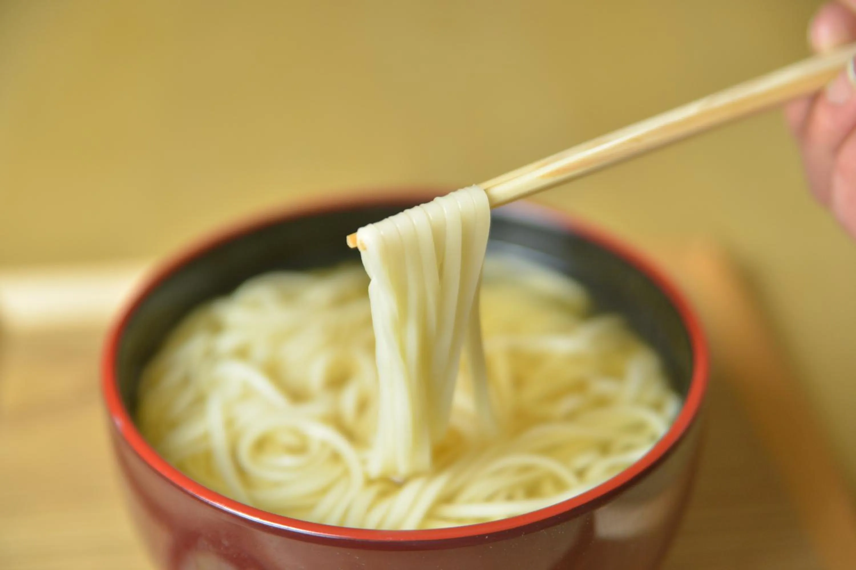 Lunch in Rembrandt Style Tokyo Nishikasai