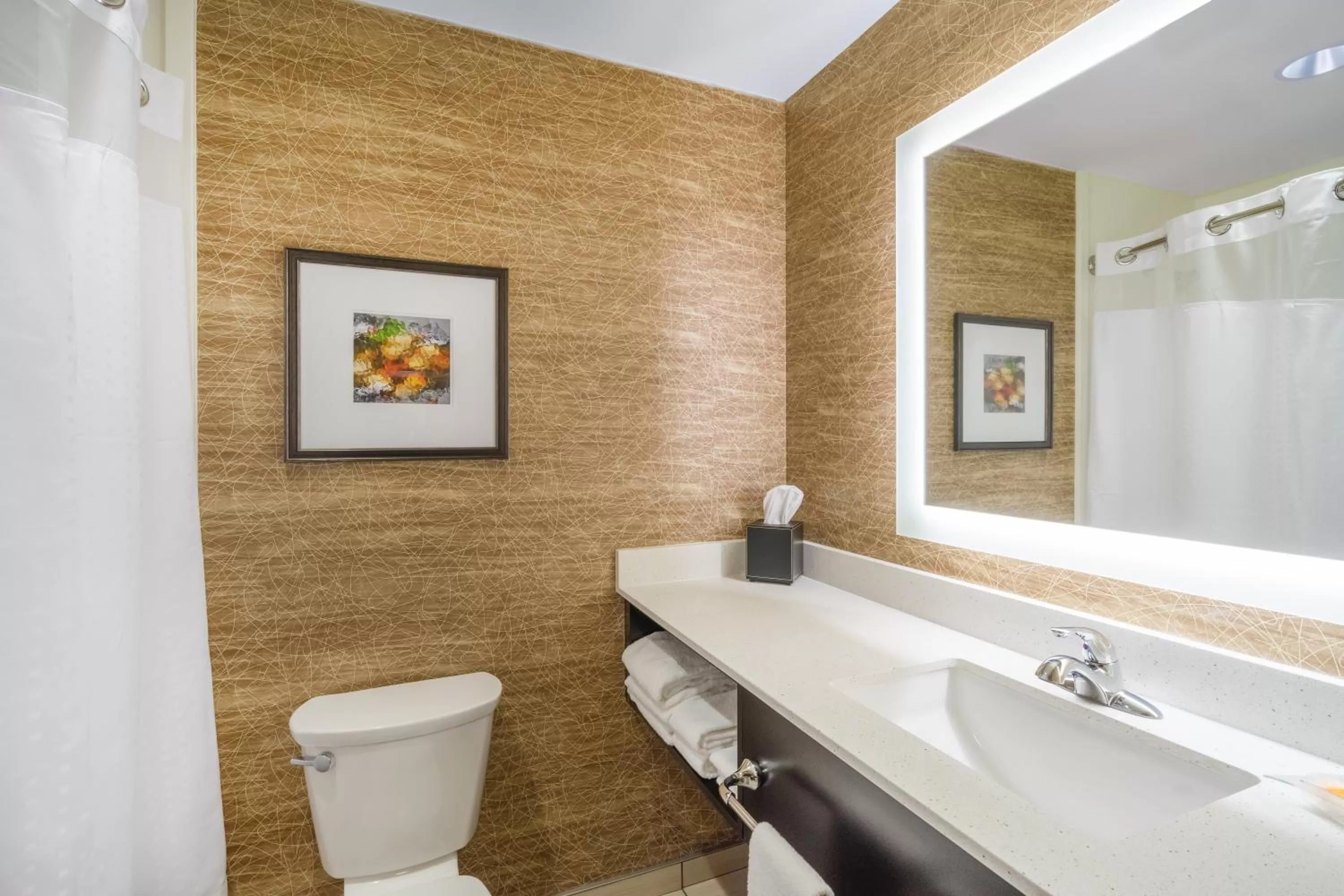 Bathroom in Holiday Inn - Terre Haute by IHG