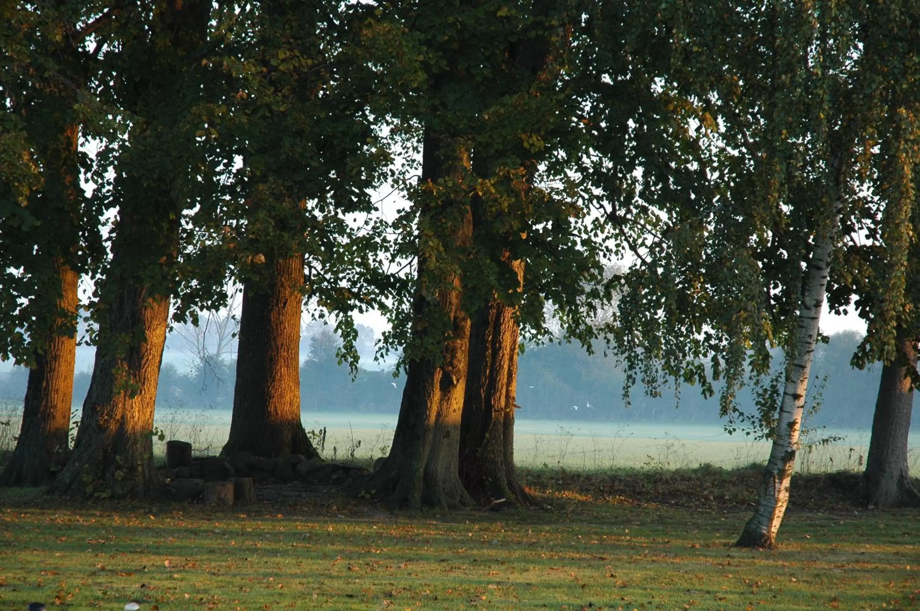 Garden in Åløkke BnB