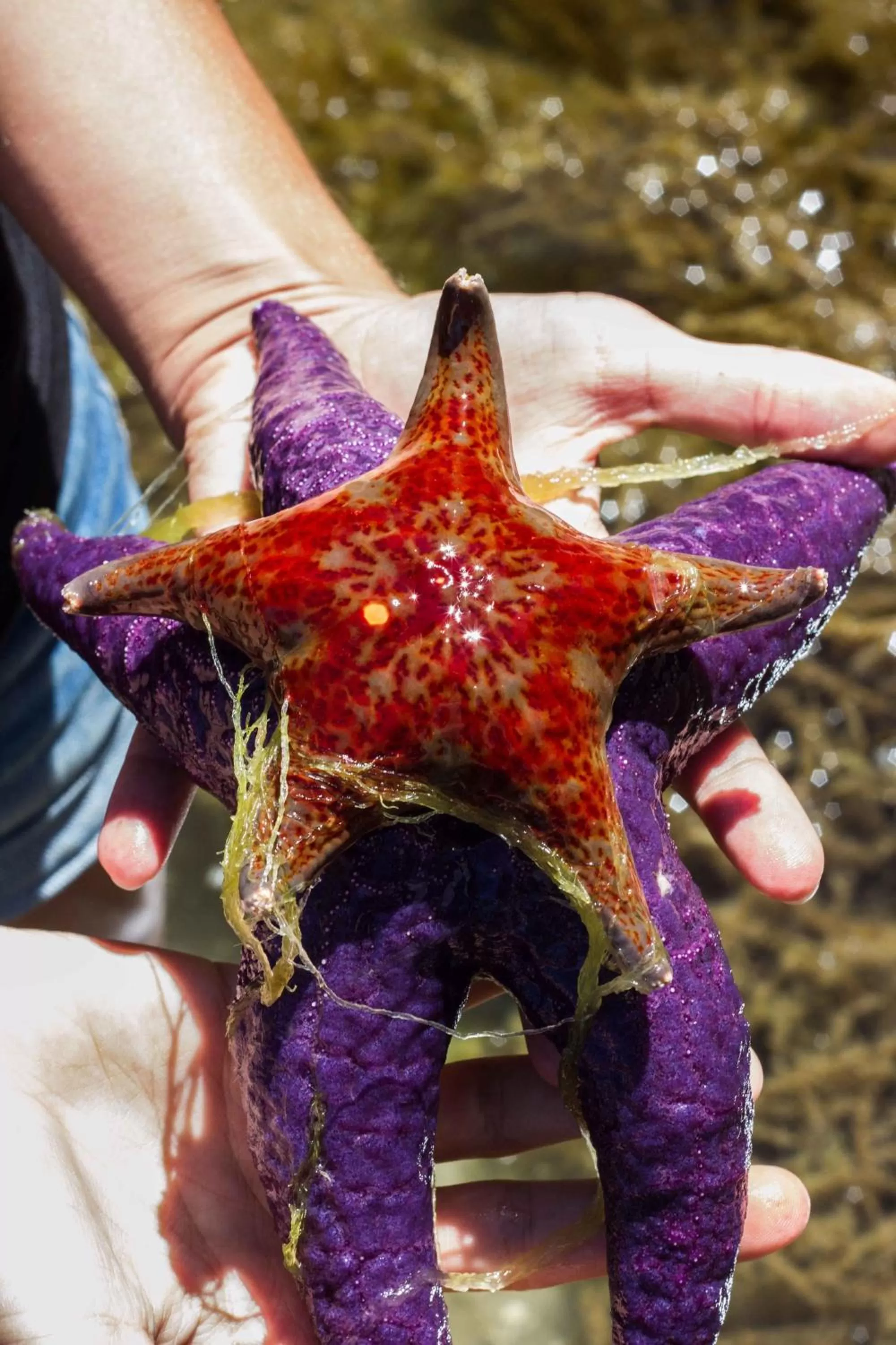 View (from property/room) in Tranquility Bay Waterfront Inn