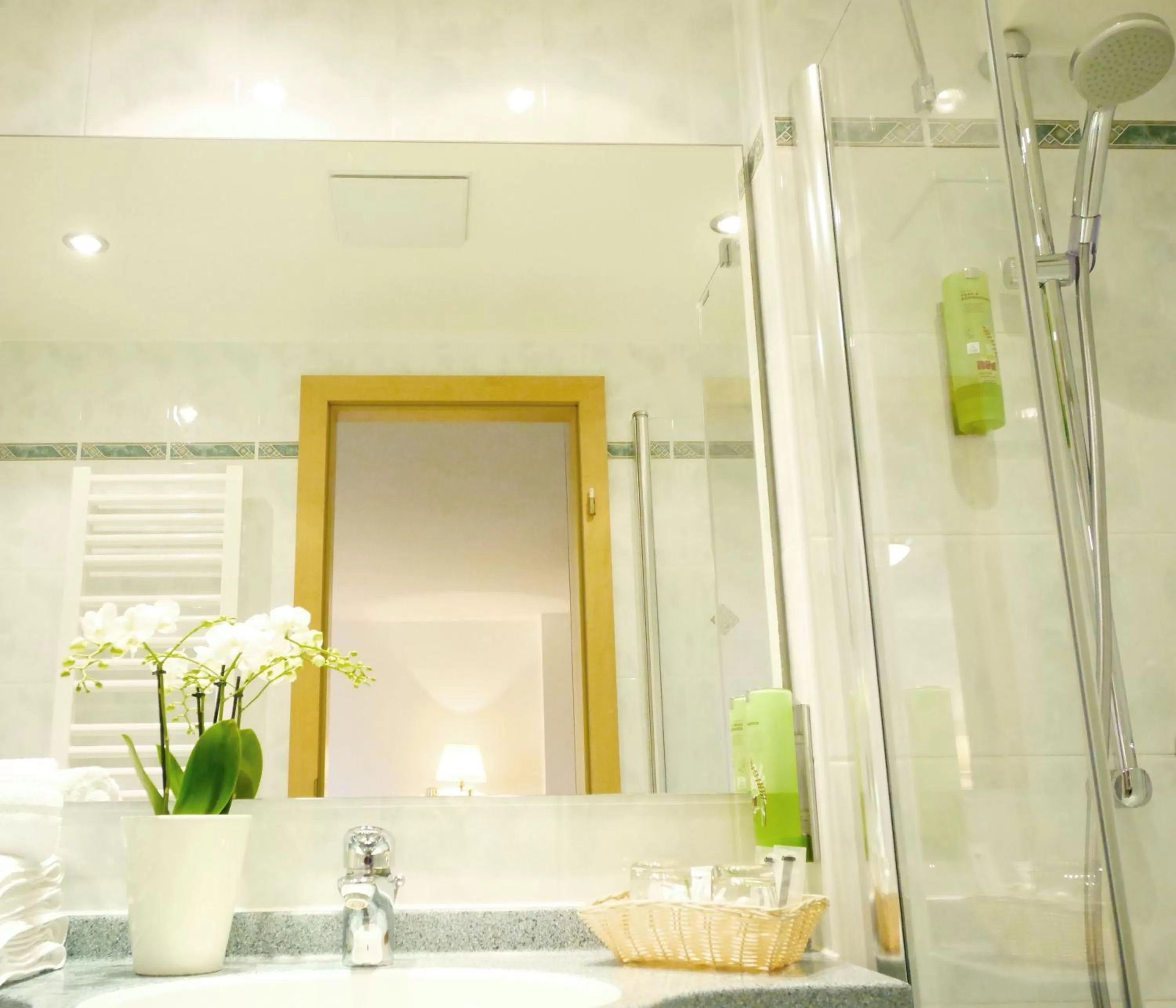 Shower in Berghotel Zollersteighof