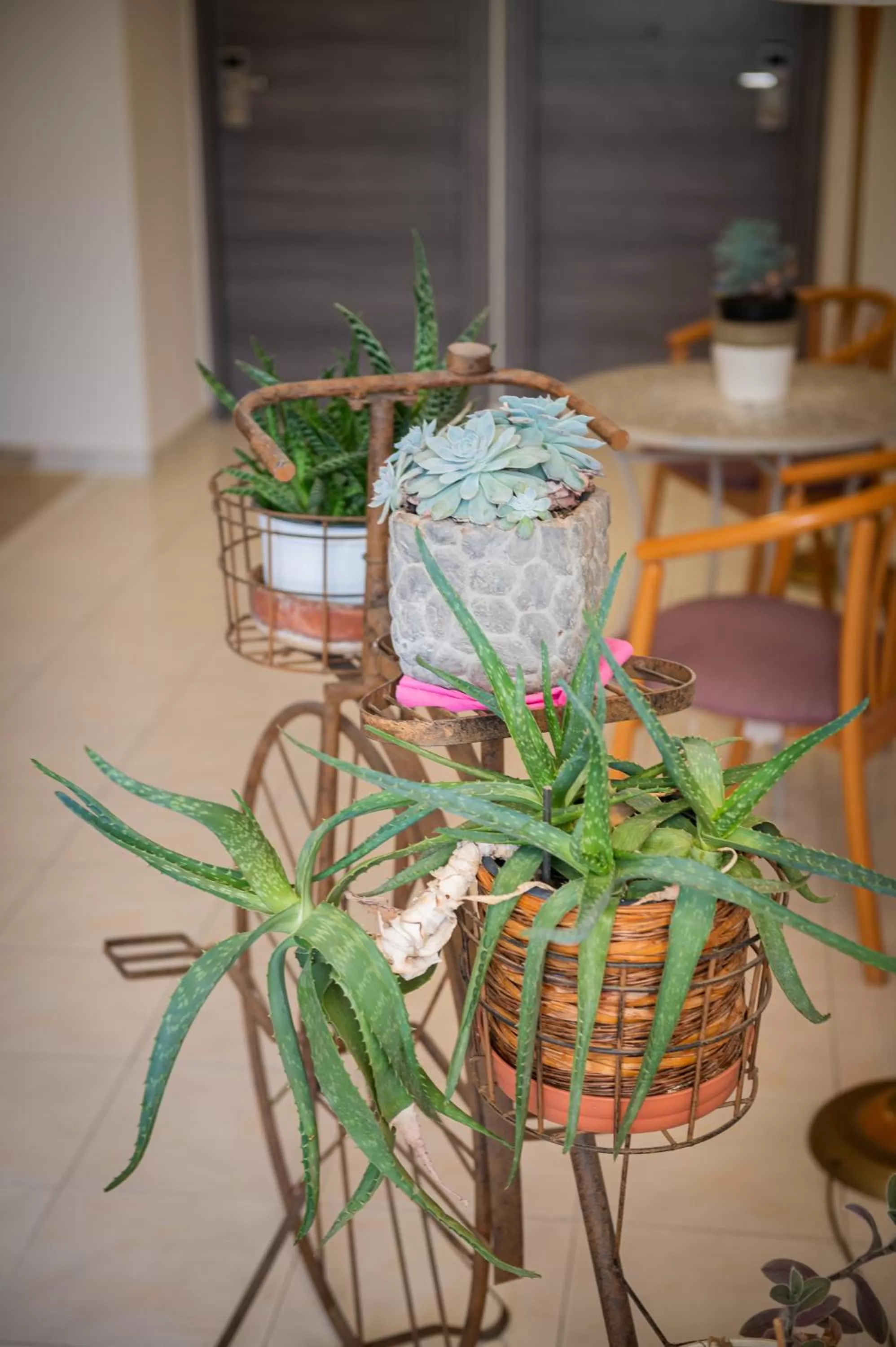 Decorative detail in Diros Hotel