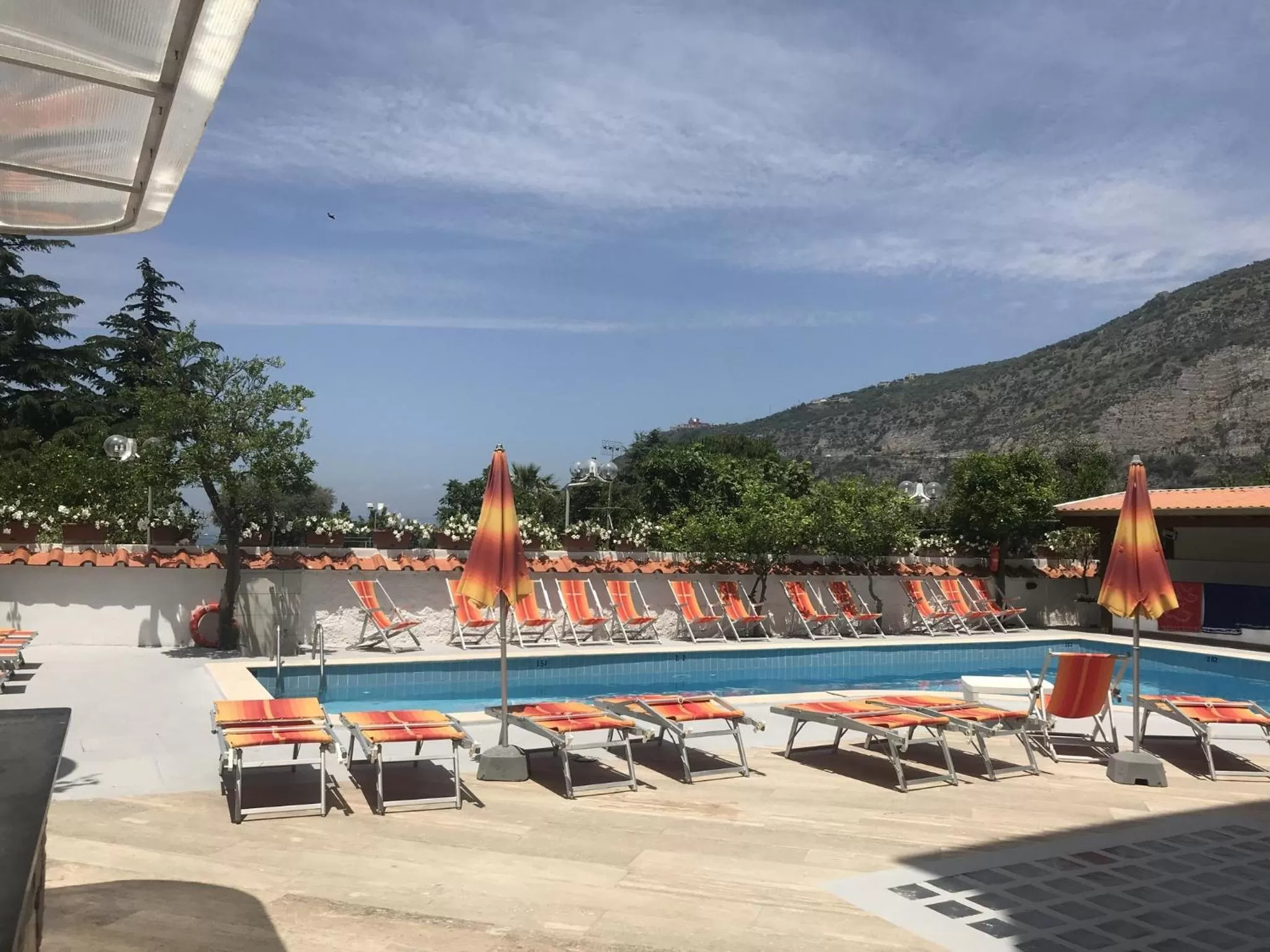 Swimming pool in Hotel Albatros