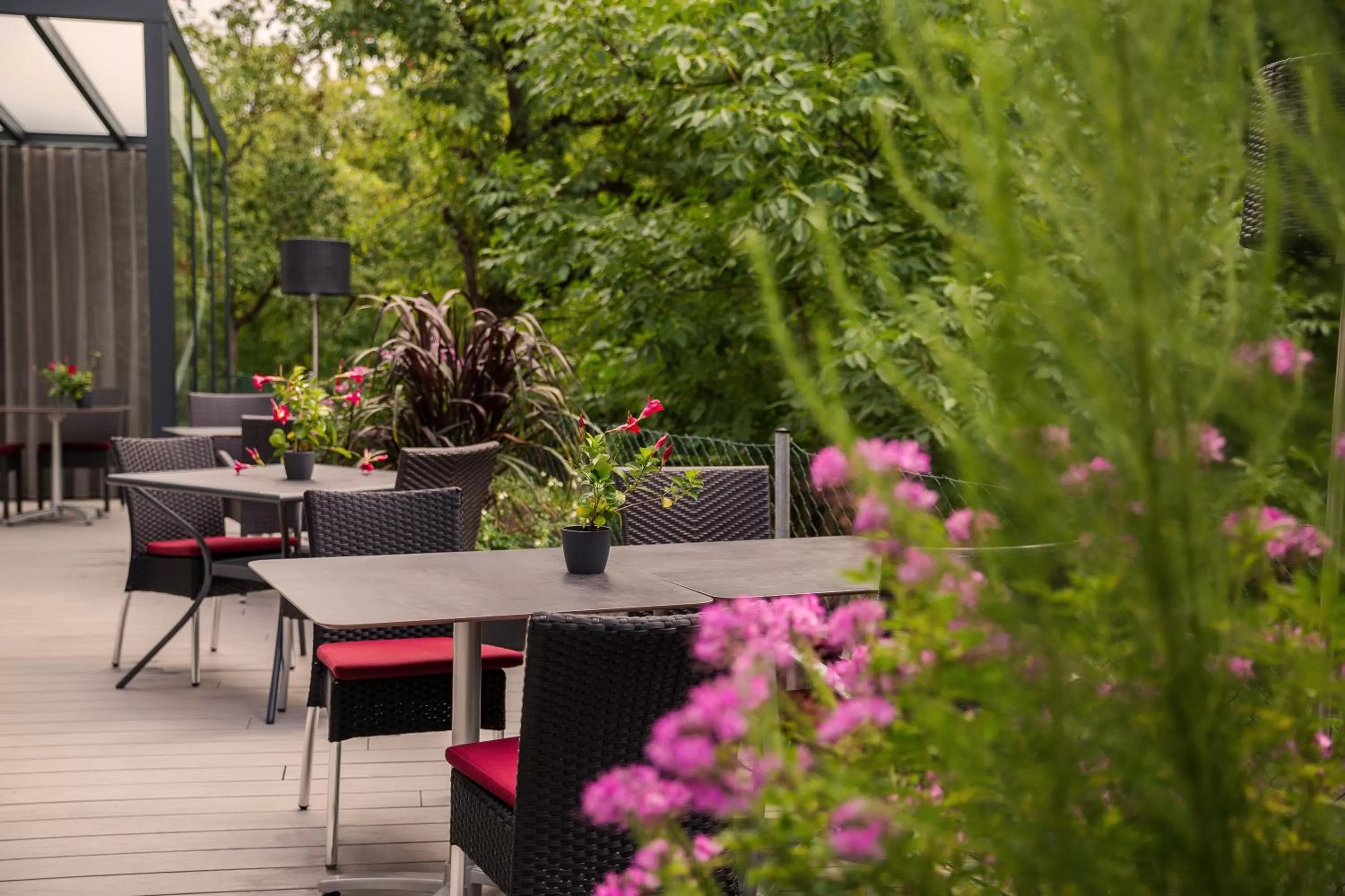 Restaurant/places to eat in DasSchaffers - MeinWohlfühlhotel