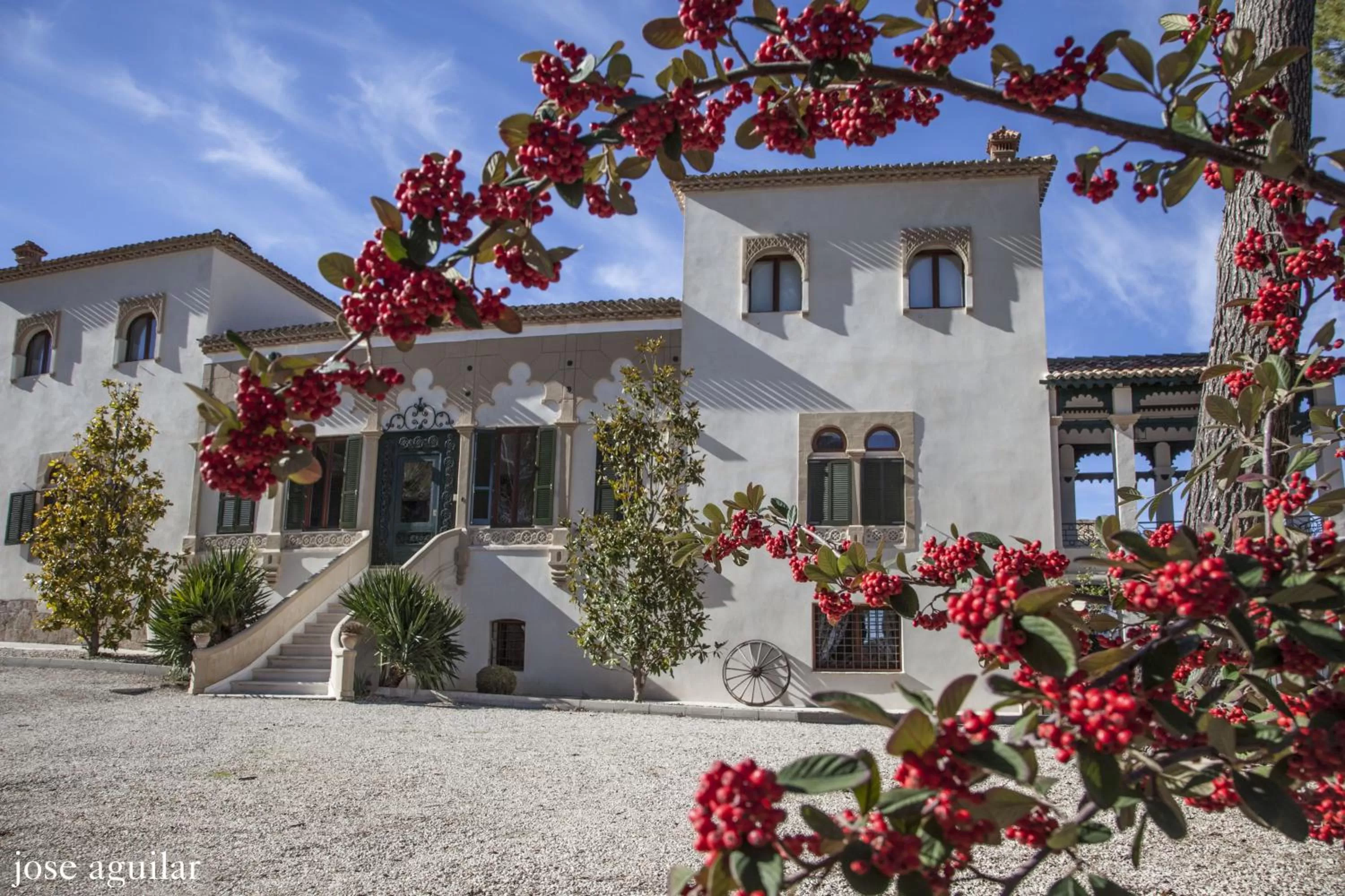 Garden in Eco Hotel con encanto Masía la Mota B&B