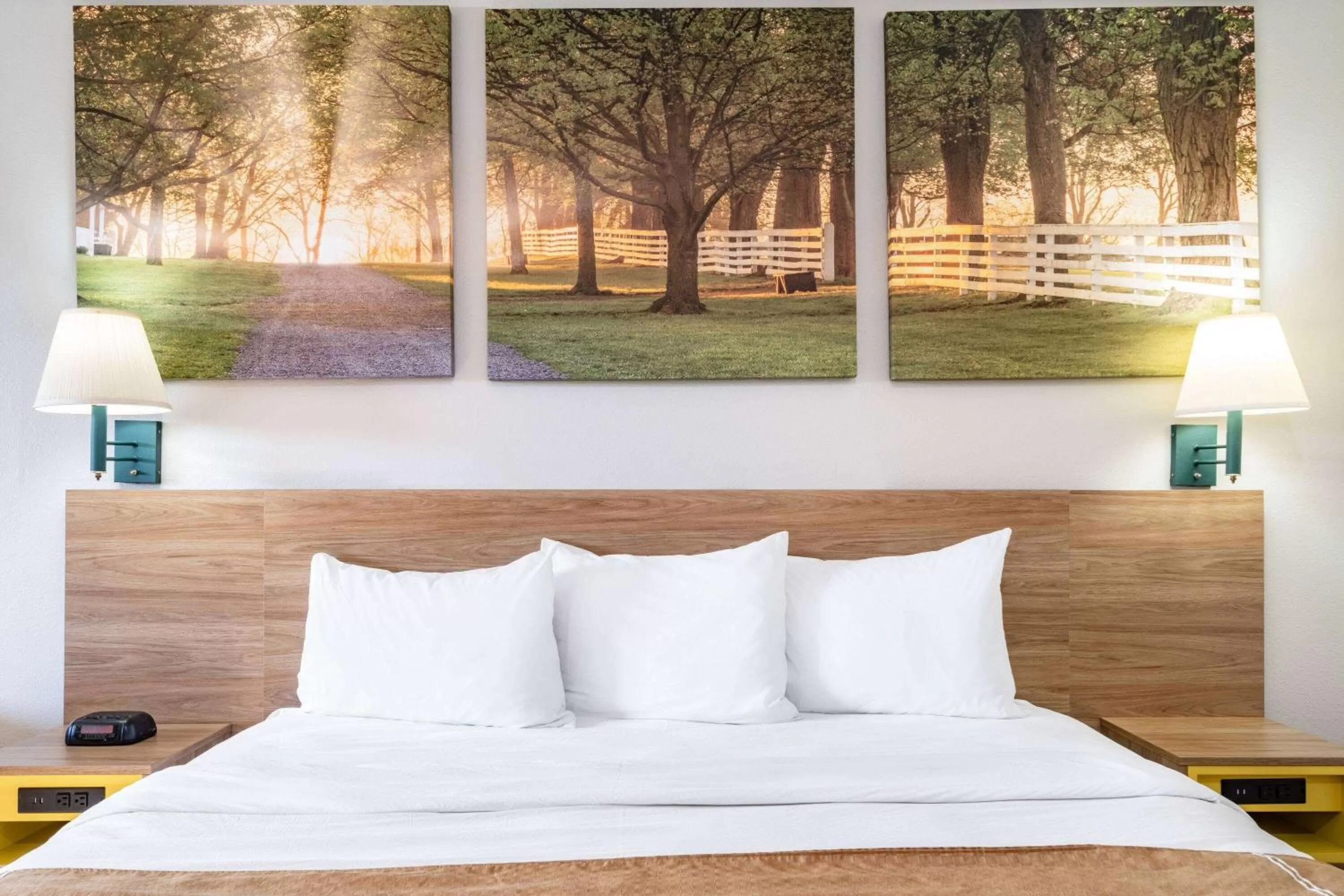 Photo of the whole room, Bed in Days Inn by Wyndham Macon I-475