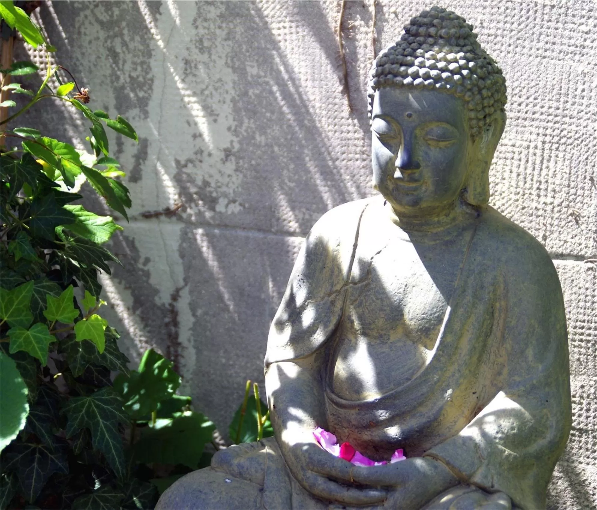 Balcony/Terrace in Hôtel Mille et une Feuilles