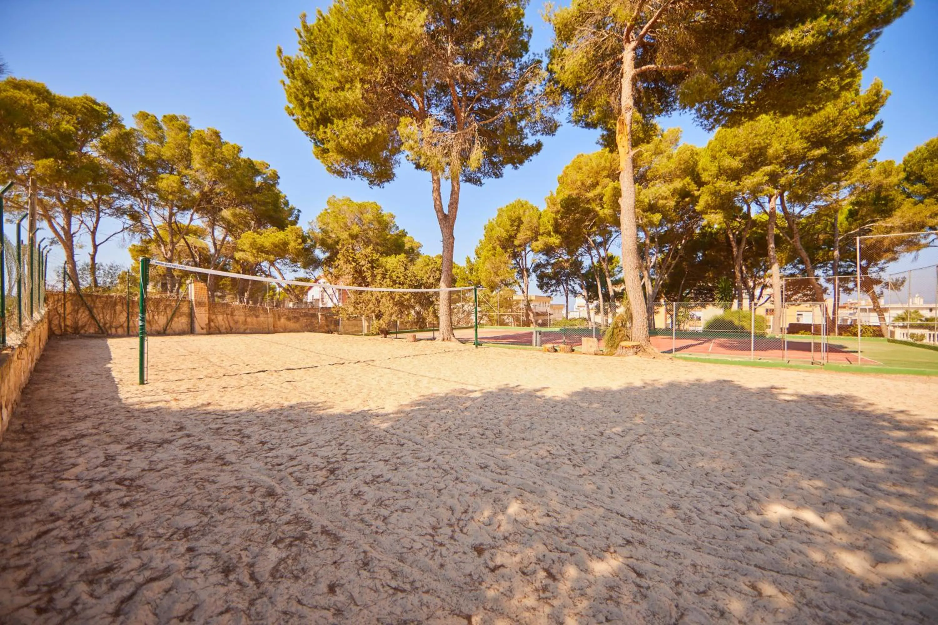 Sports in MLL Palma Bay Club Resort