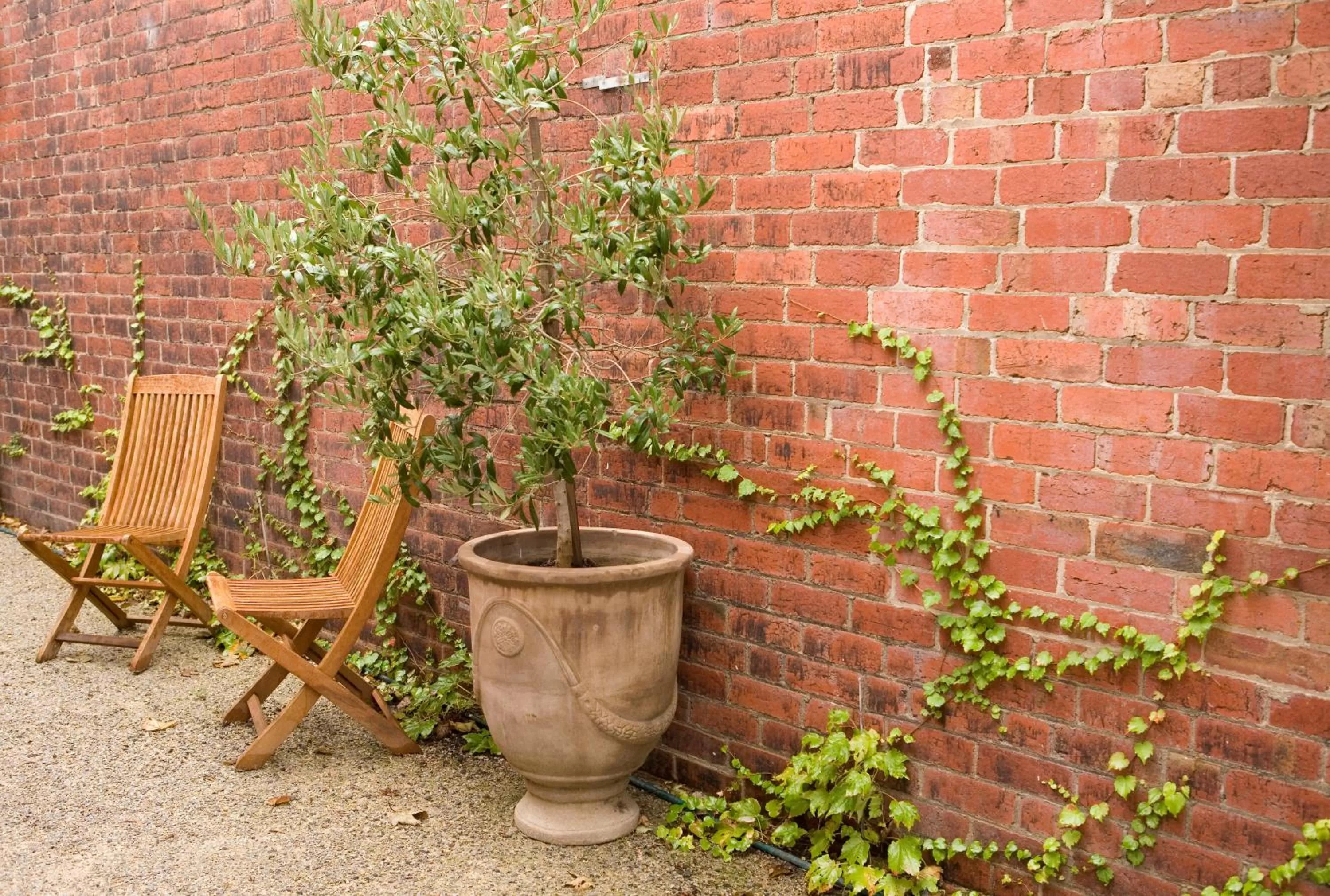 Decorative detail, Patio/Outdoor Area in Mollisons