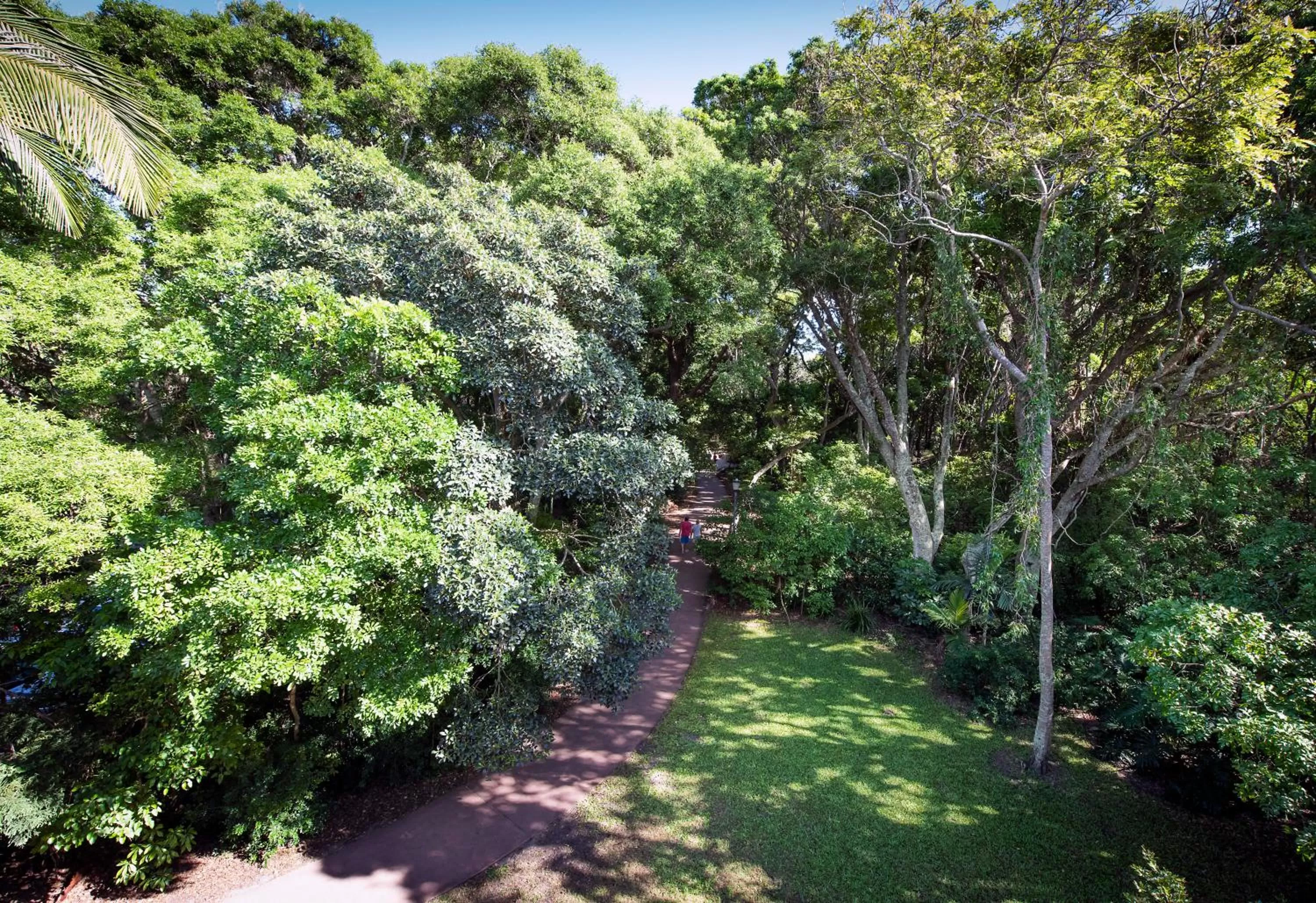 View (from property/room) in SandCastles Noosa