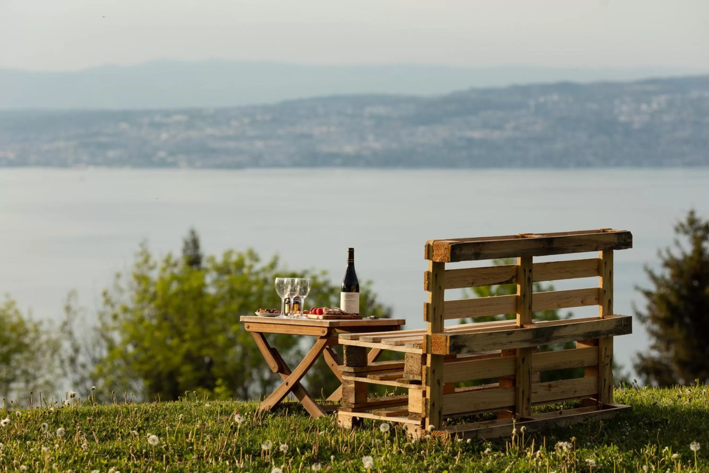 Lake view in Garden & City Evian - Lugrin