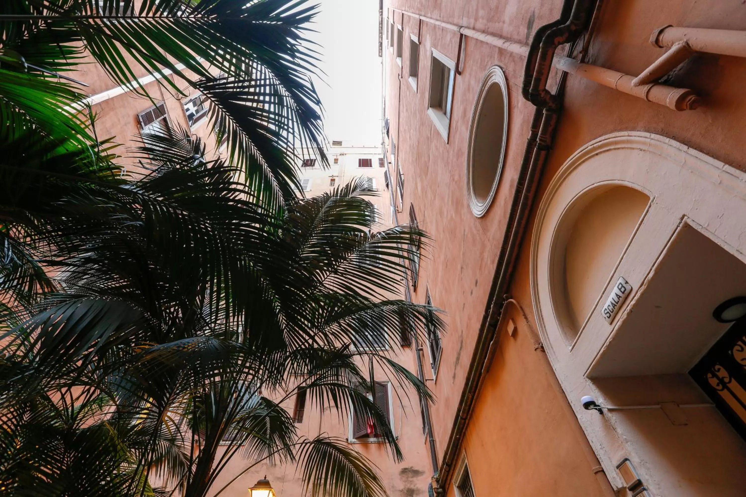 Property building in Vanella Rome Domus