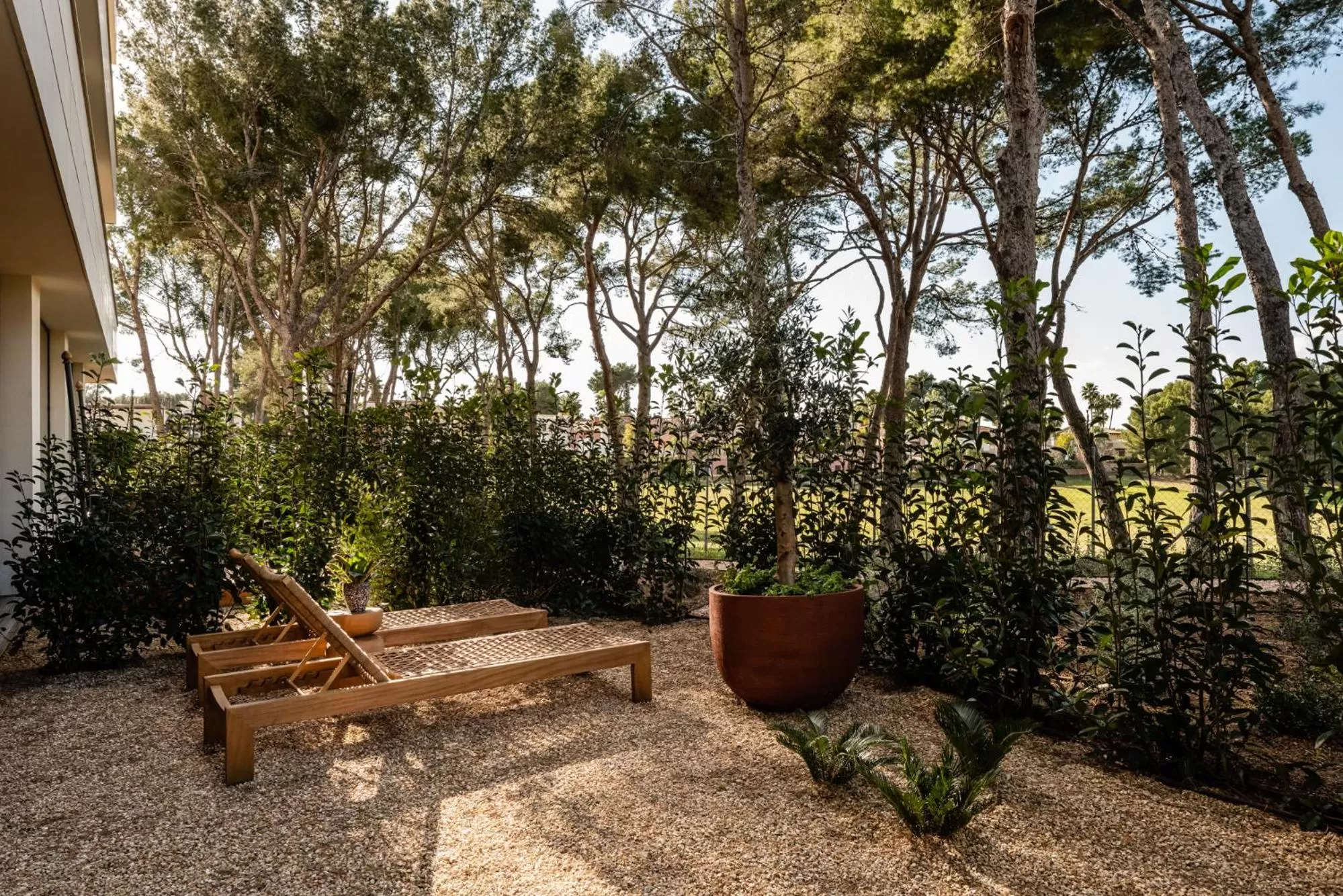 Garden in Kimpton Aysla Mallorca by IHG