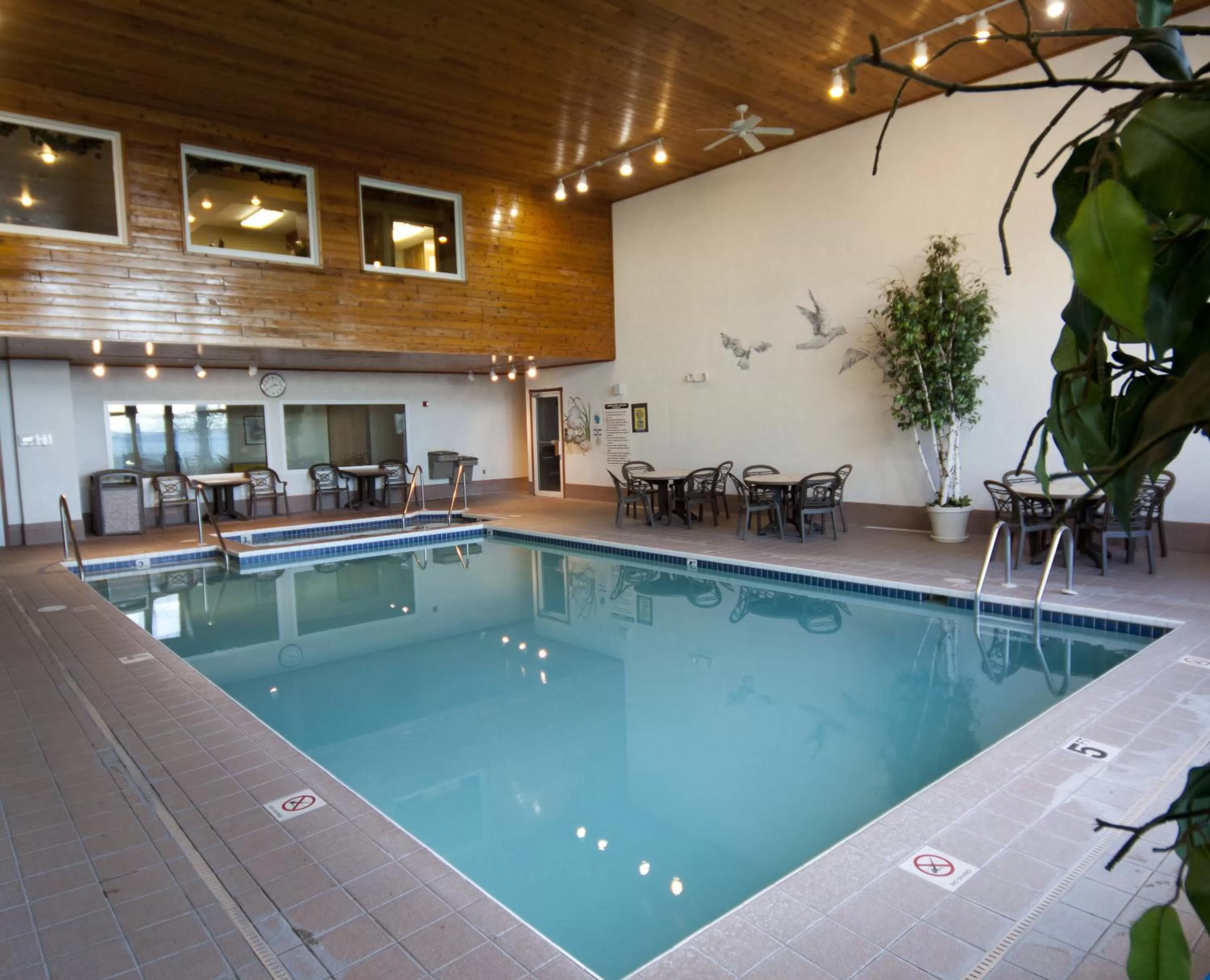 Swimming pool in Westwood Shores Waterfront Resort