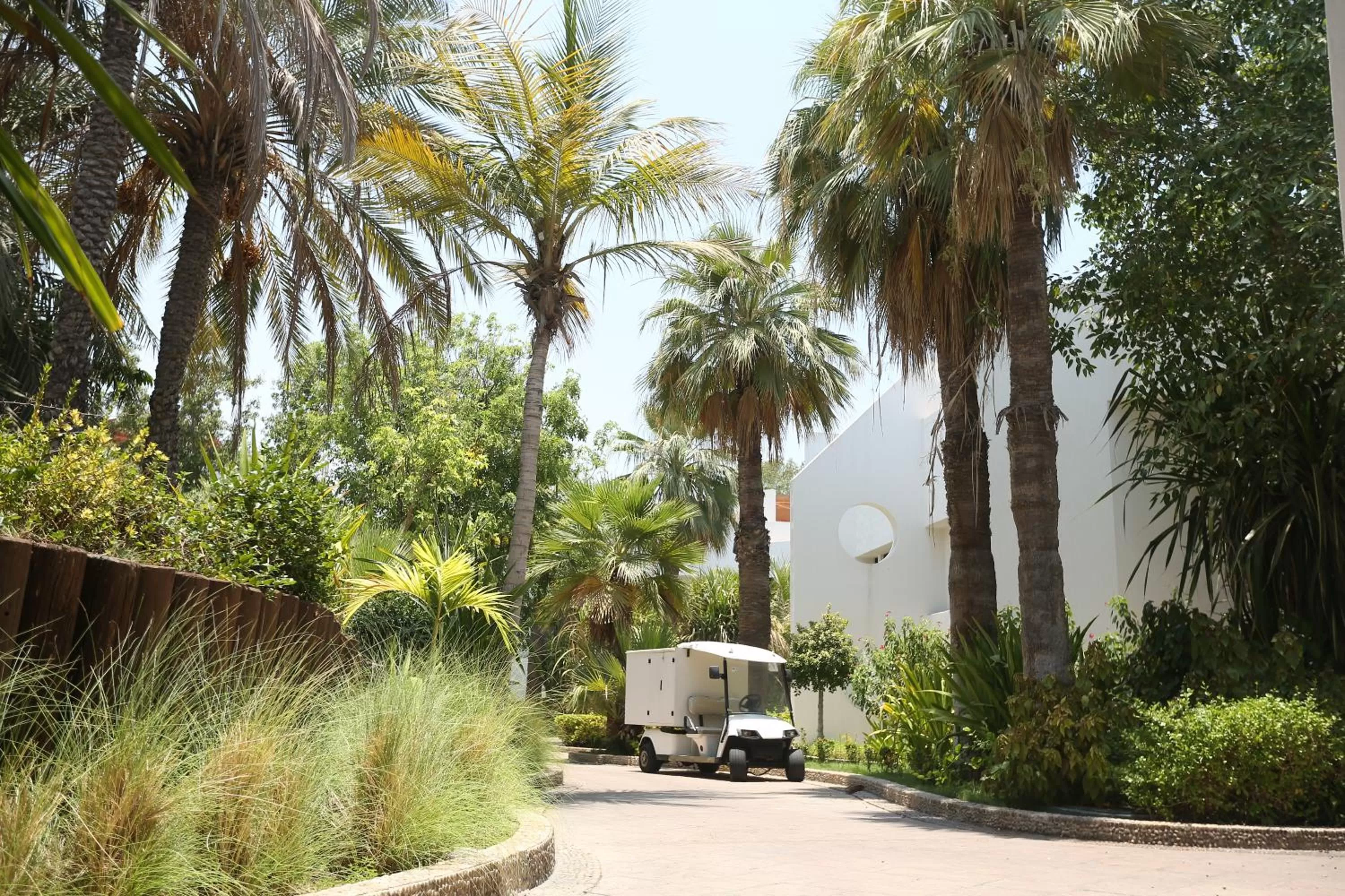 Natural landscape in Dubai Marine Beach Resort & Spa