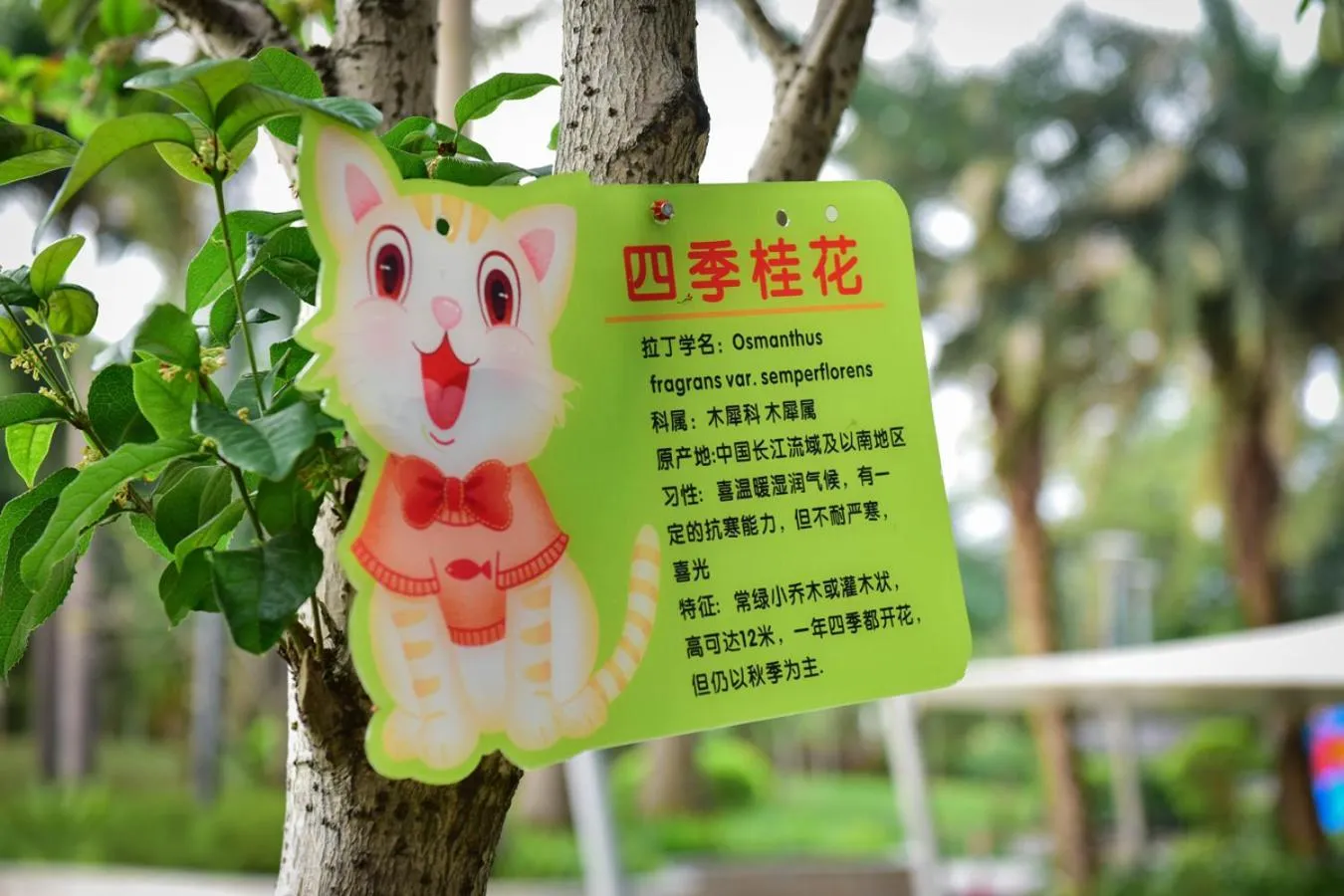 Garden in Crowne Plaza Huizhou by IHG