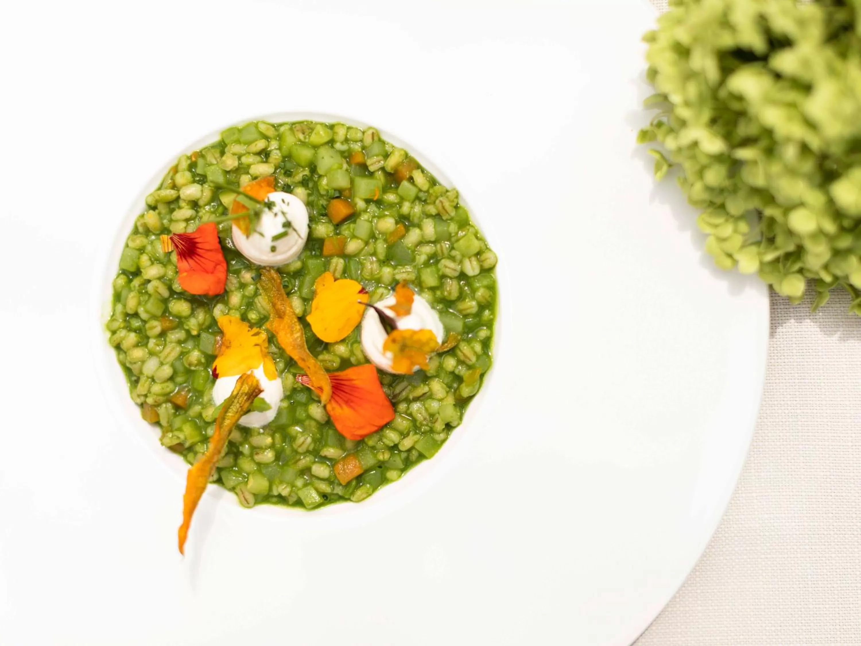 Food and drinks in Biohotel theiner's garten