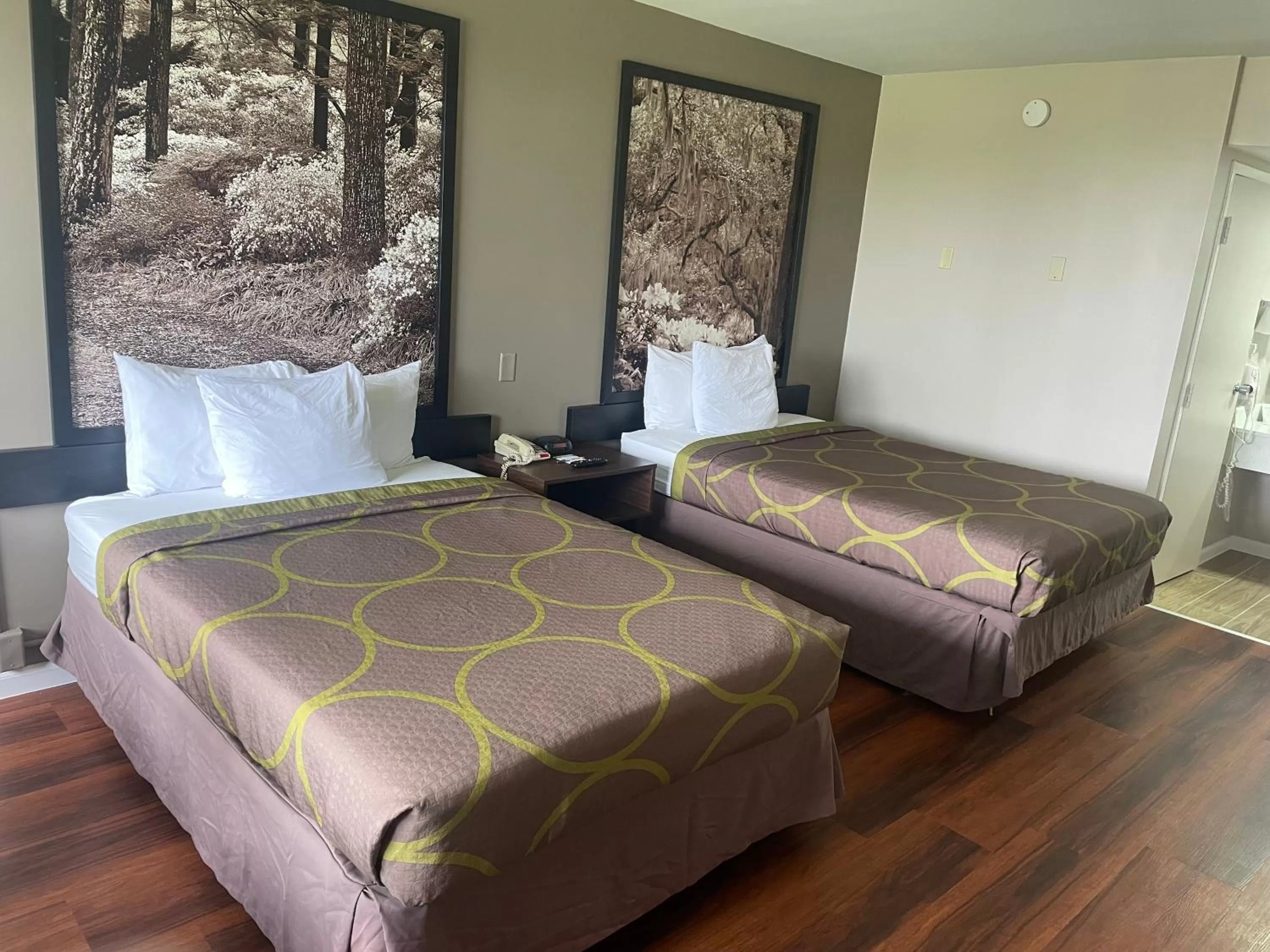 Swimming pool, Bed in Super 8 by Wyndham Valdosta Mall