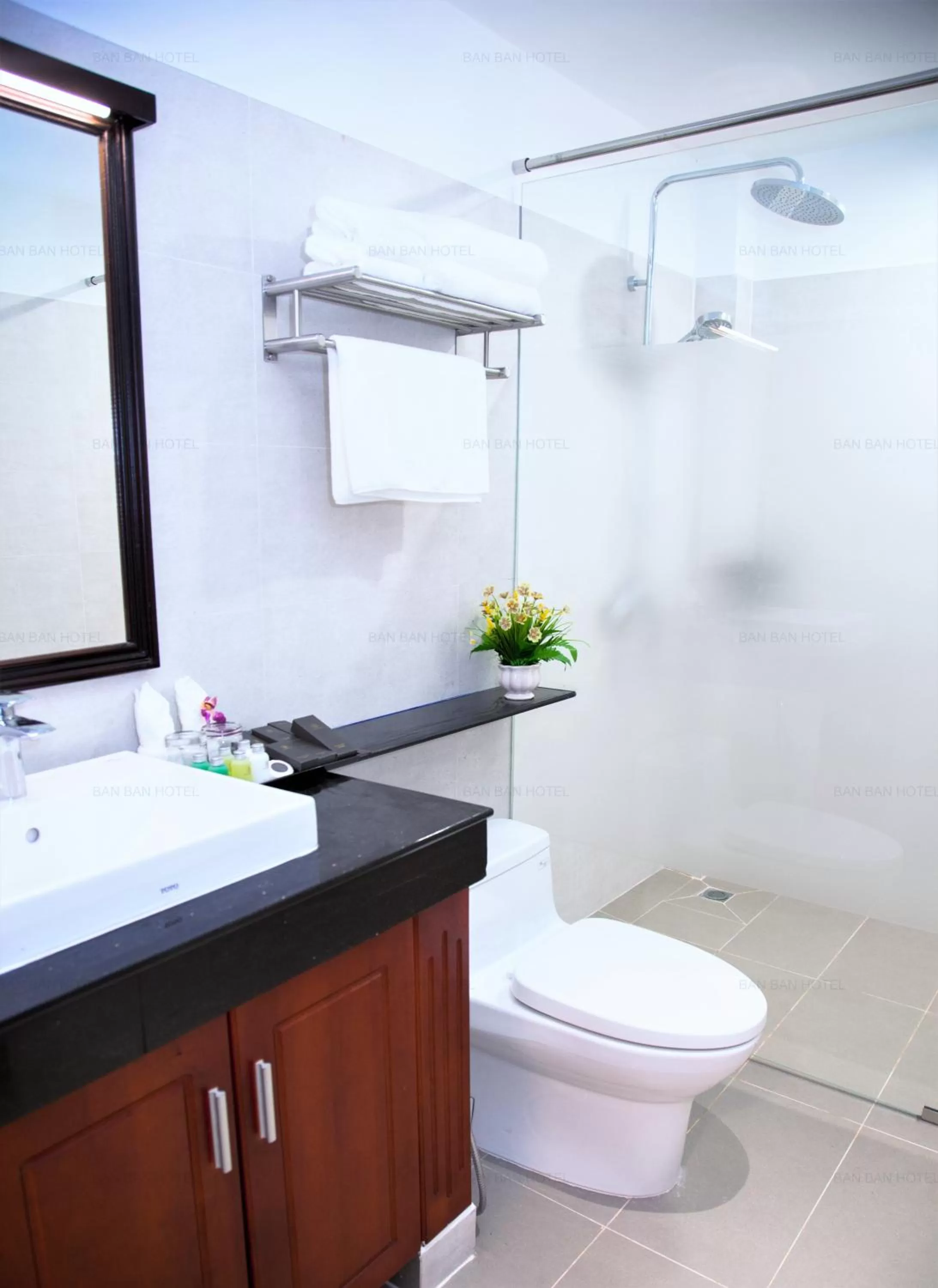 Shower in Ban Ban Hotel