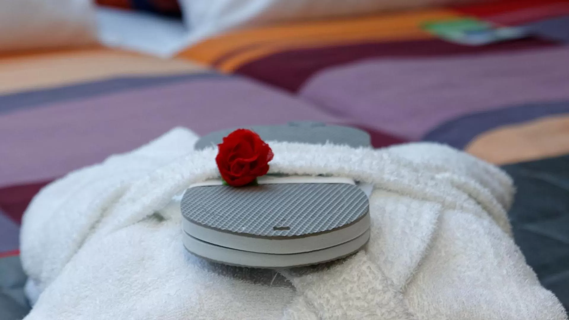 Area and facilities in Suit' & Frühstück Zum Latschen - Adults Only