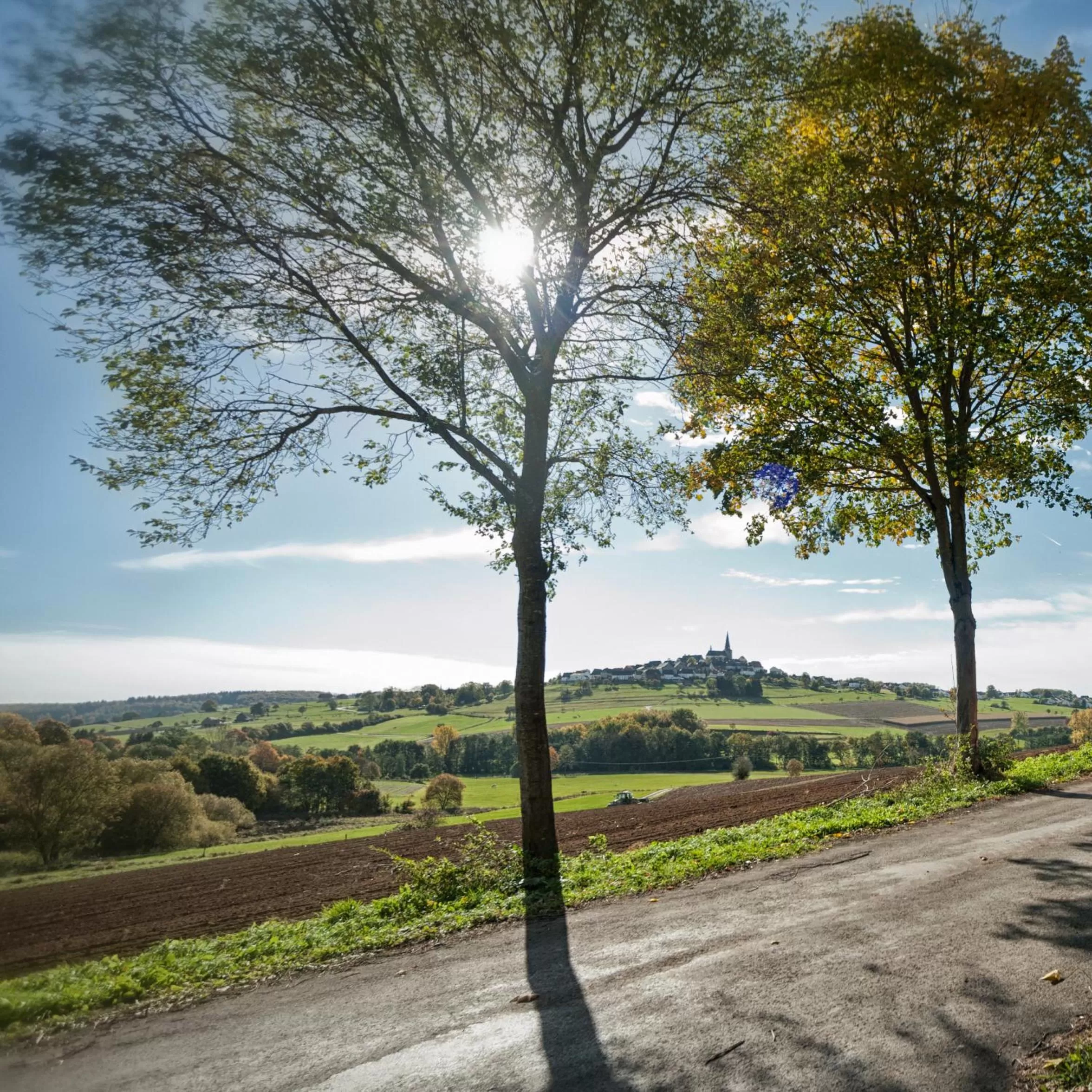 Natural landscape in Romantik Hotel Knippschild