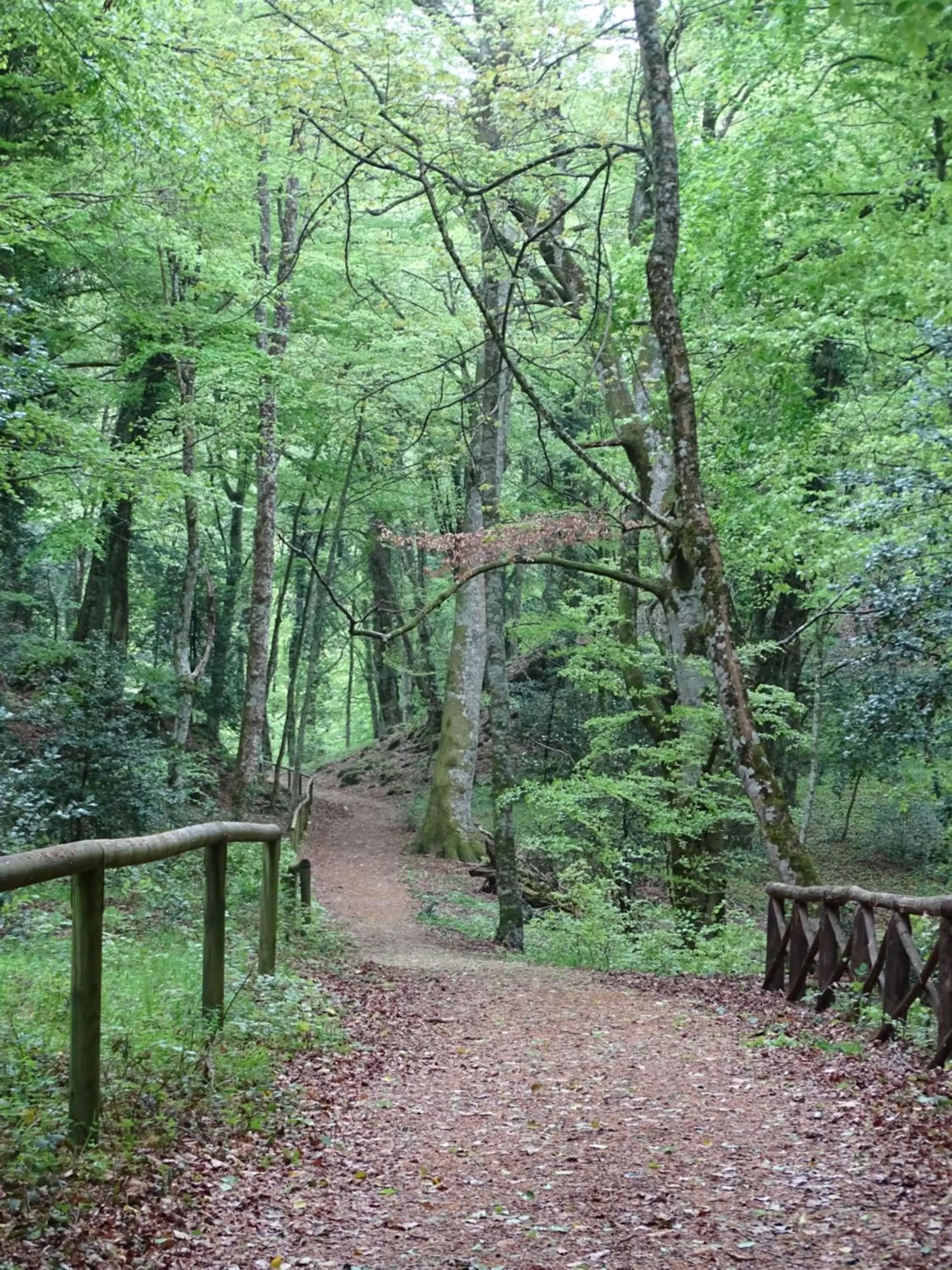 Hiking in Villa Biancofiore