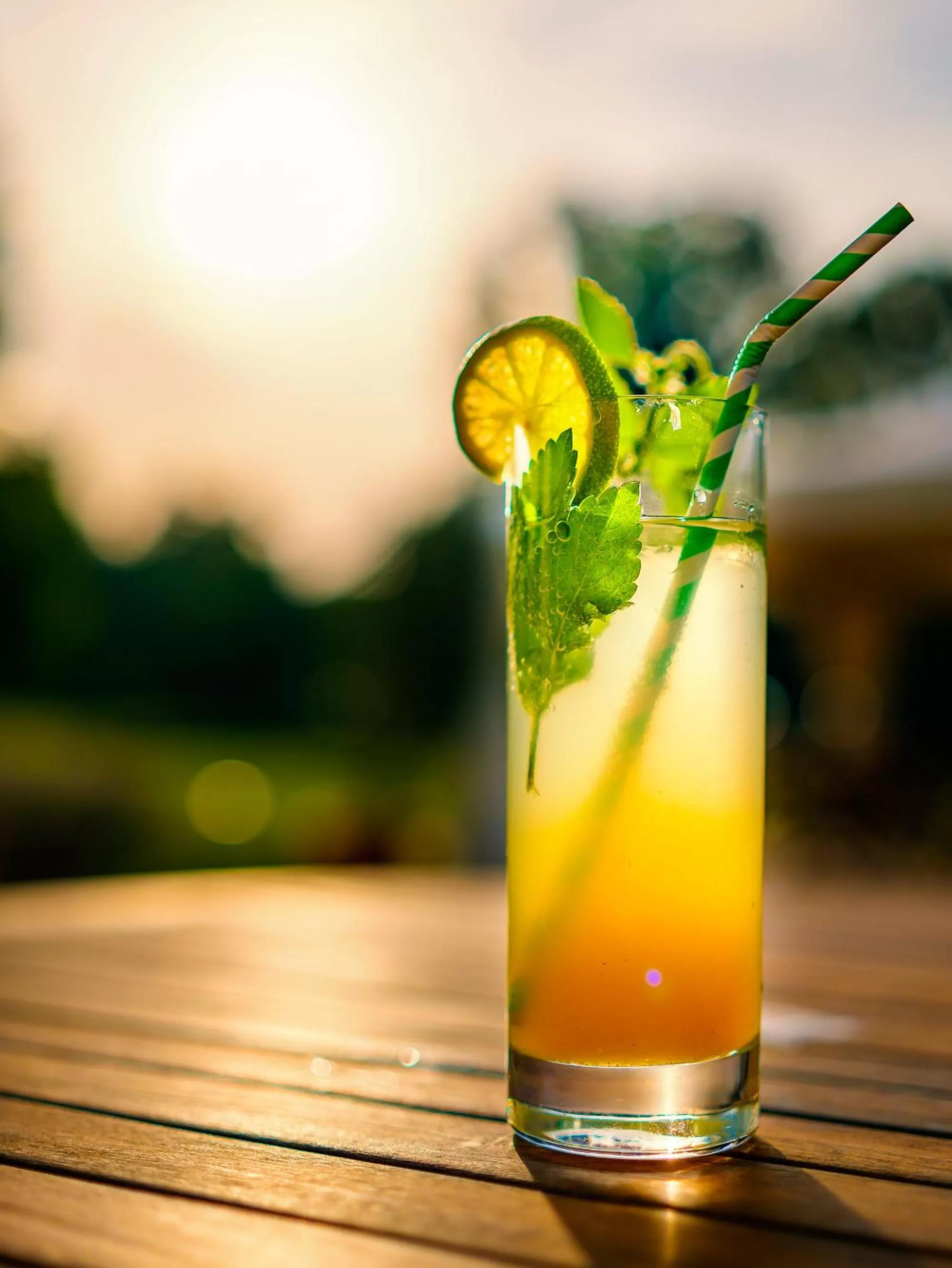 Restaurant/places to eat in Seepark Hotel am Wandlitzsee