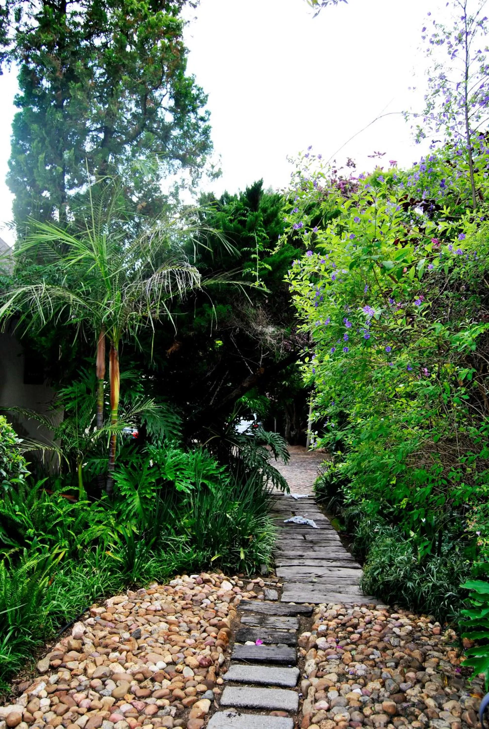 Garden in Birch Tree Cottage
