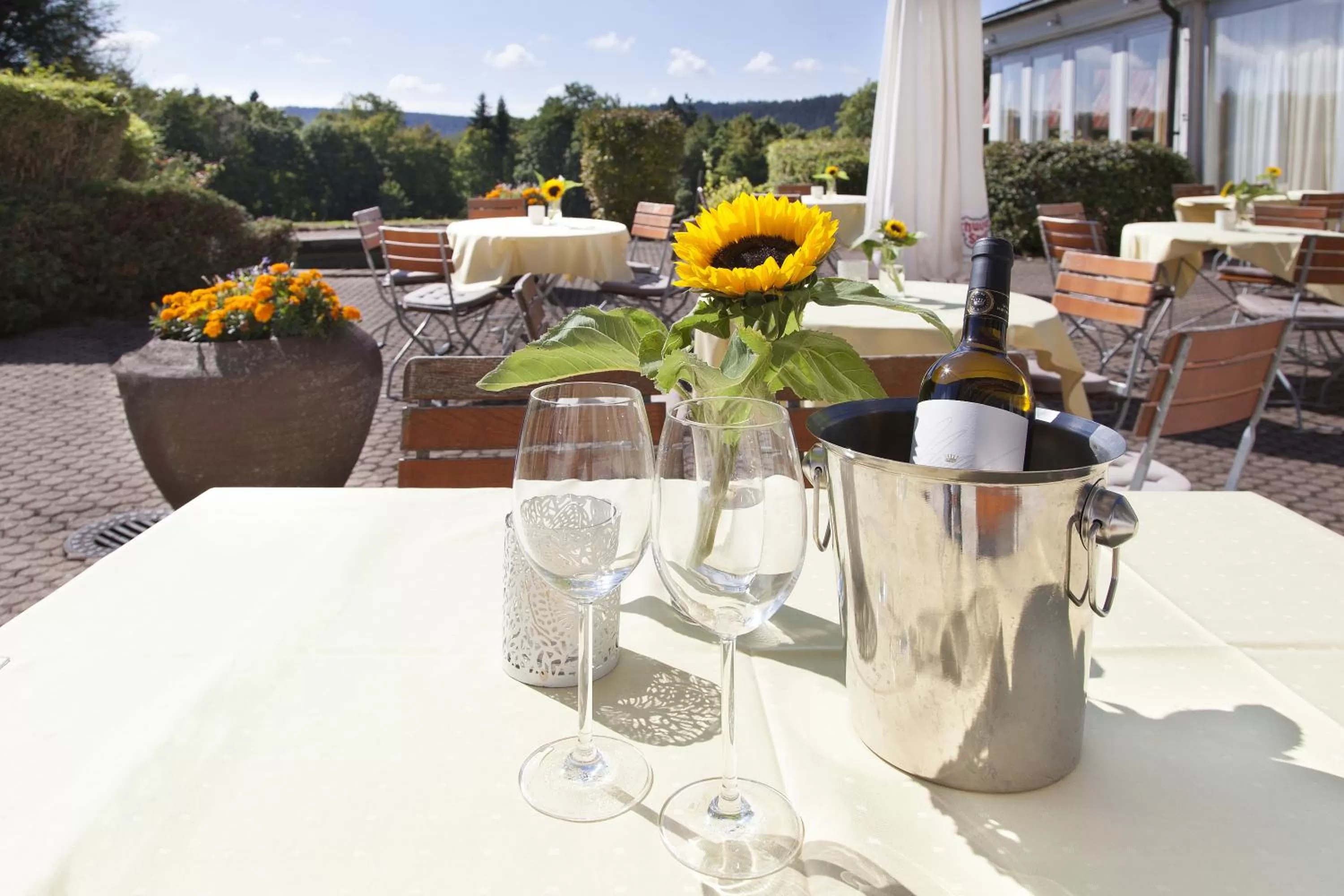 Balcony/Terrace in Hotel Schwarzwald Freudenstadt