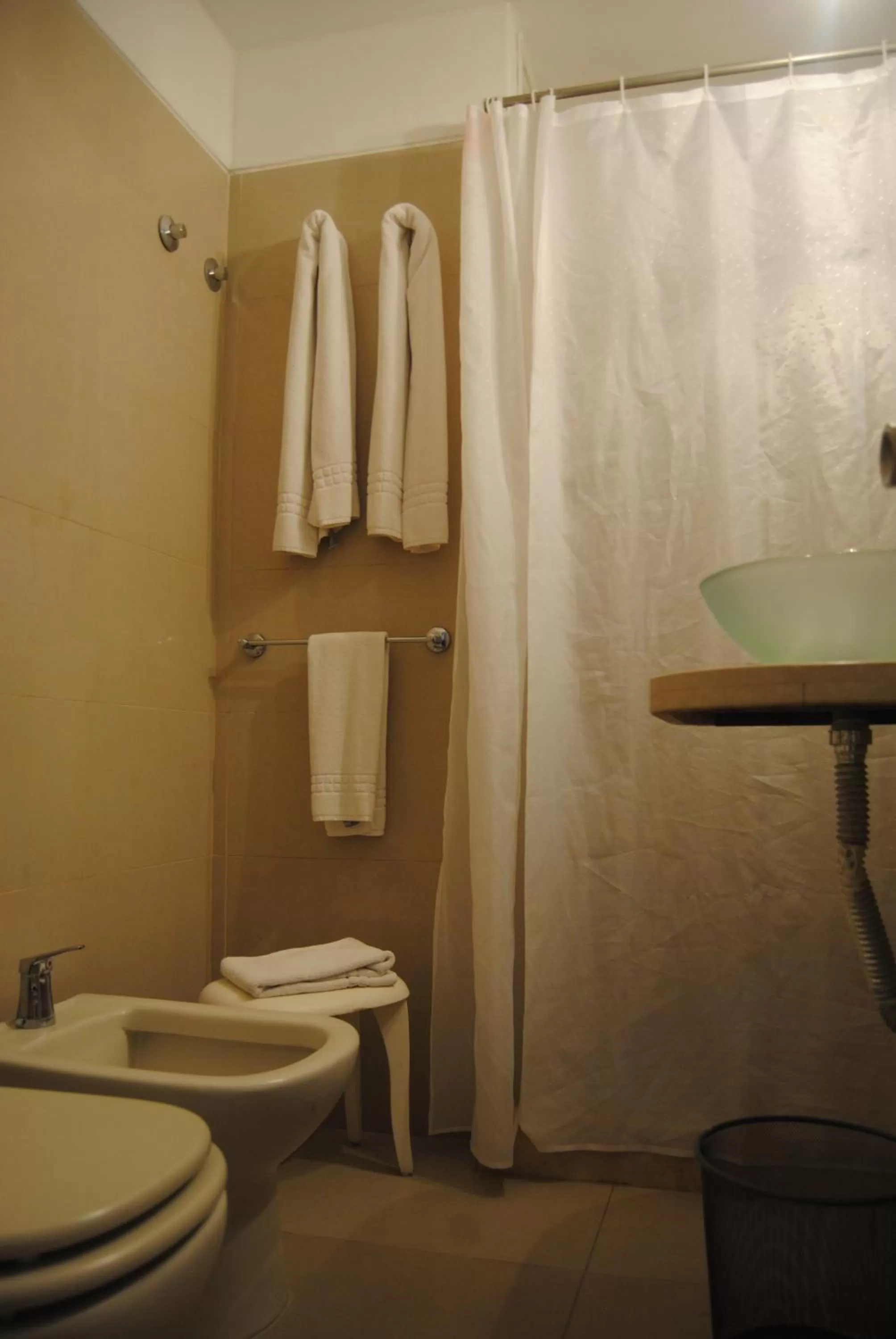 Shower in Hotel Iberia