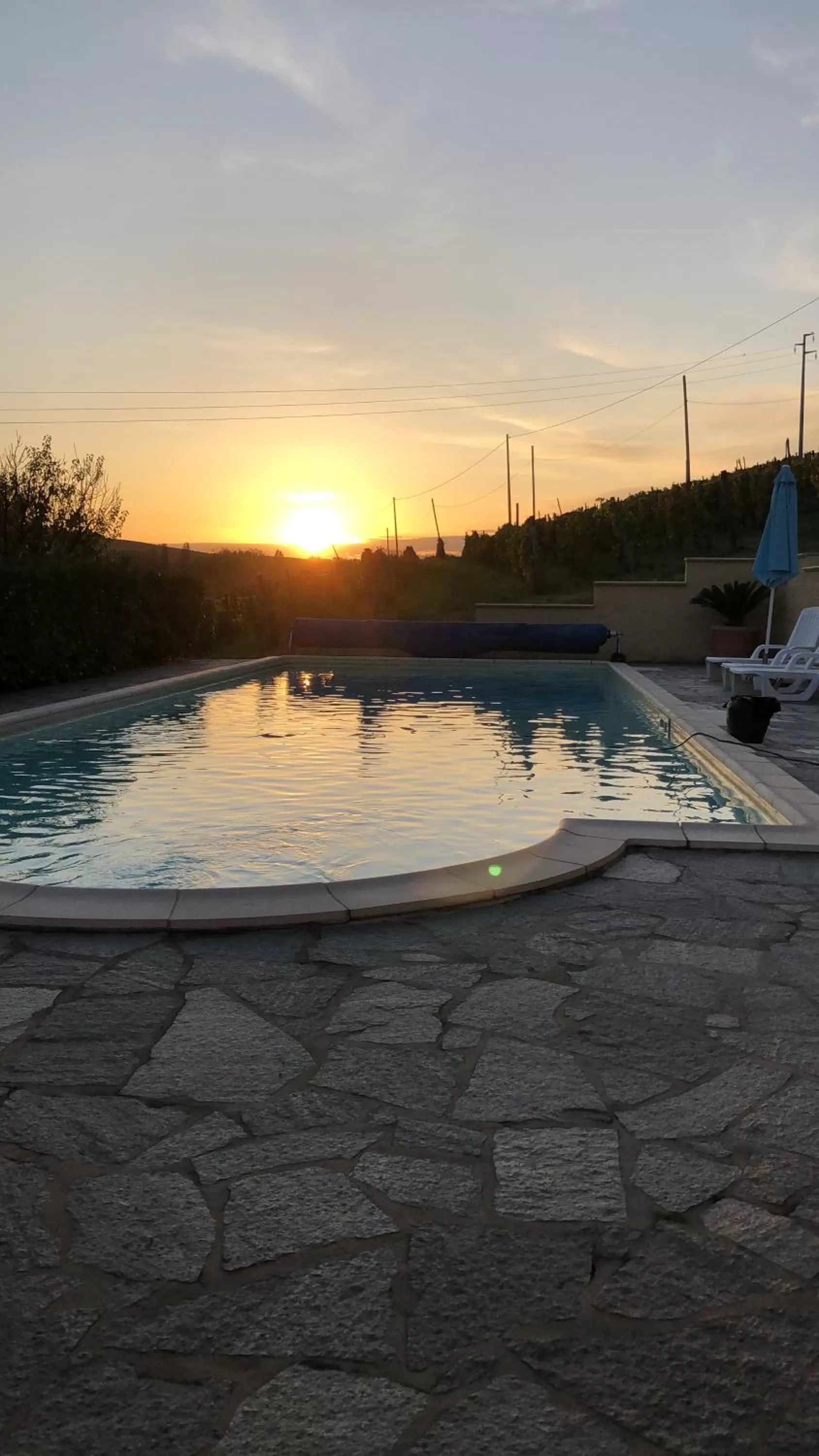 Swimming pool in Villa Vigneto